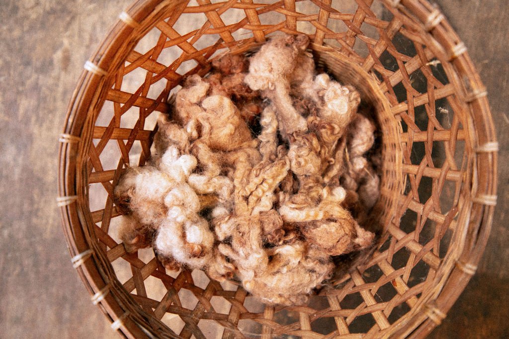 Roving in a Basket Maybe.jpg