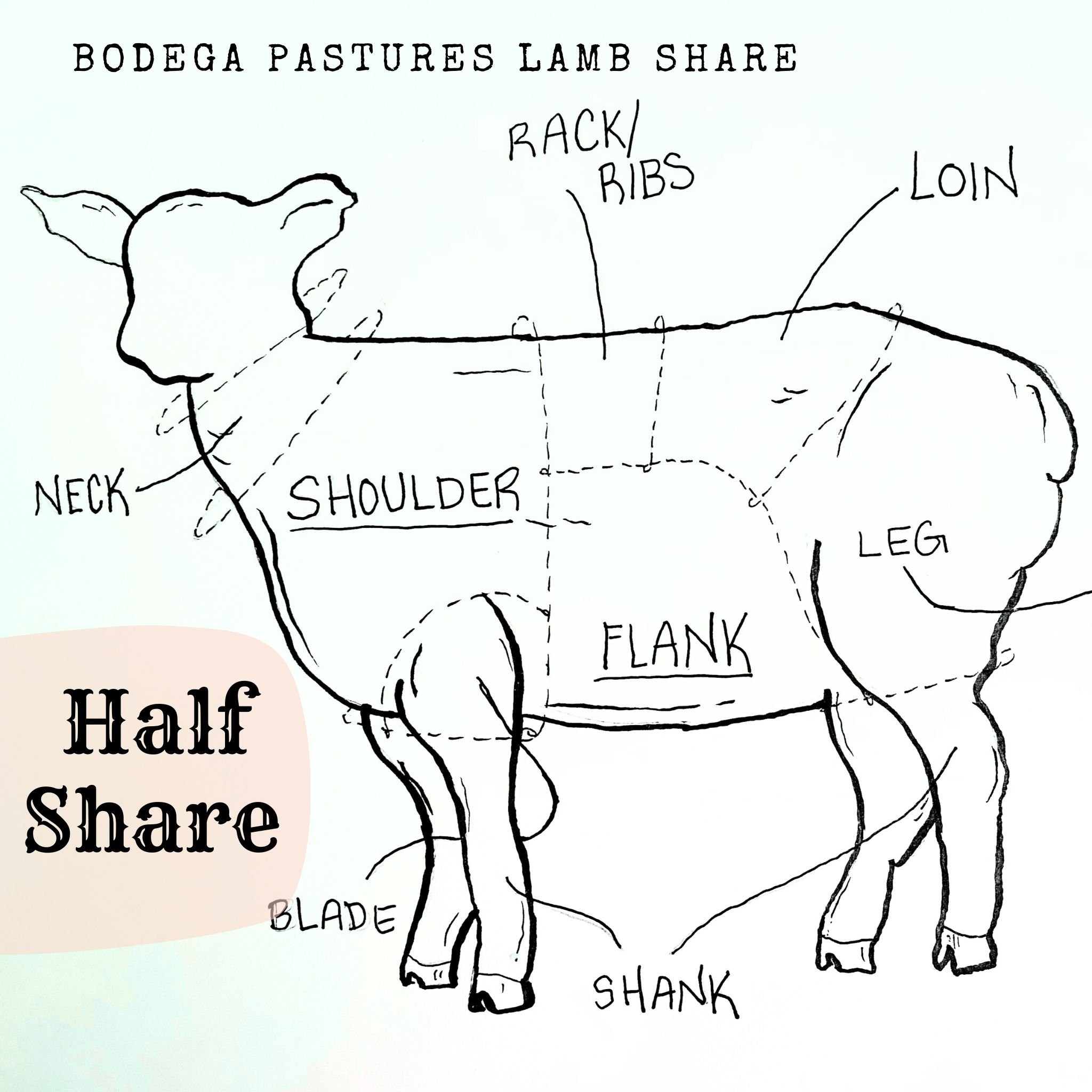Lamb Share - Half Share .jpg