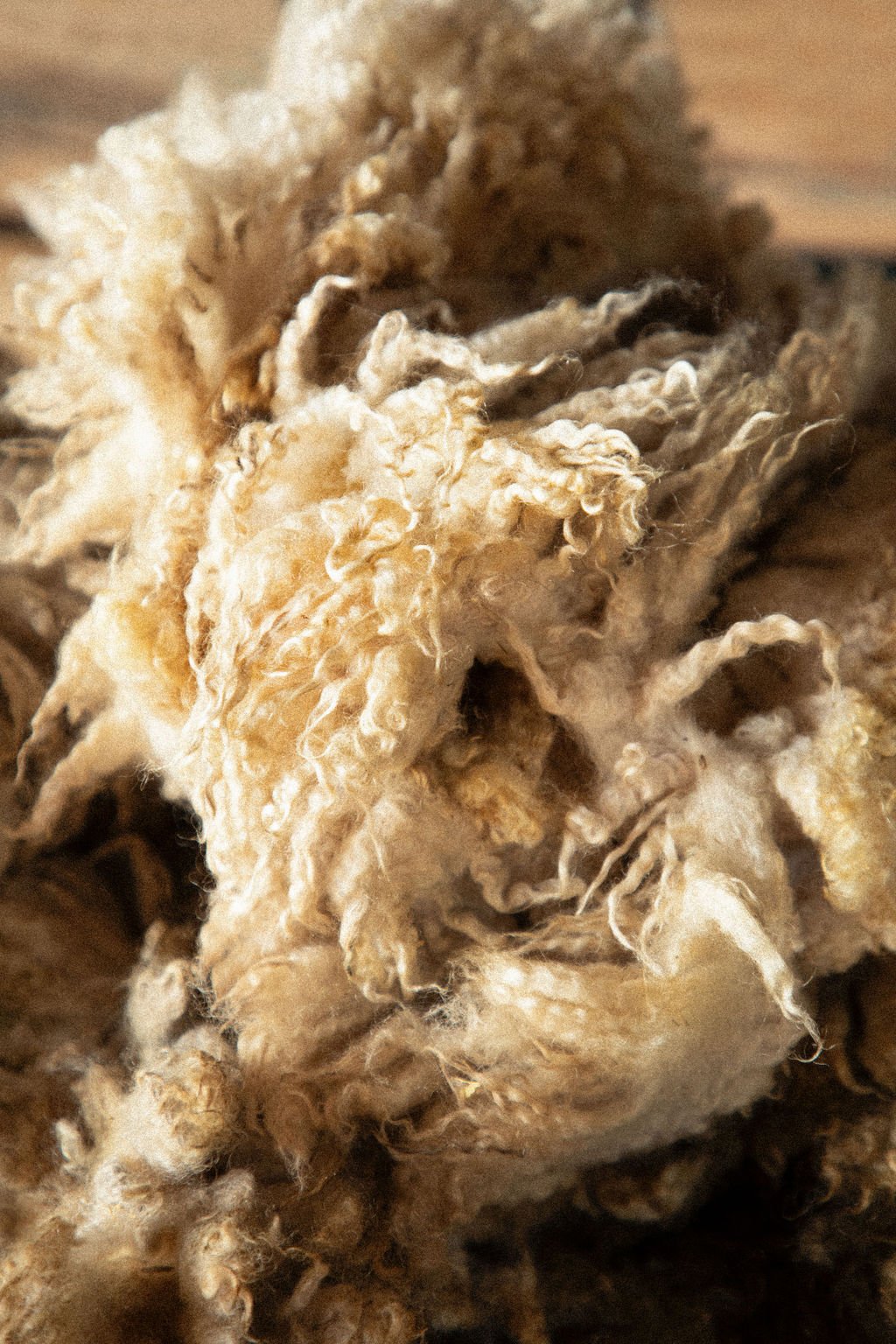 Close Shot of Wool Detail .jpg