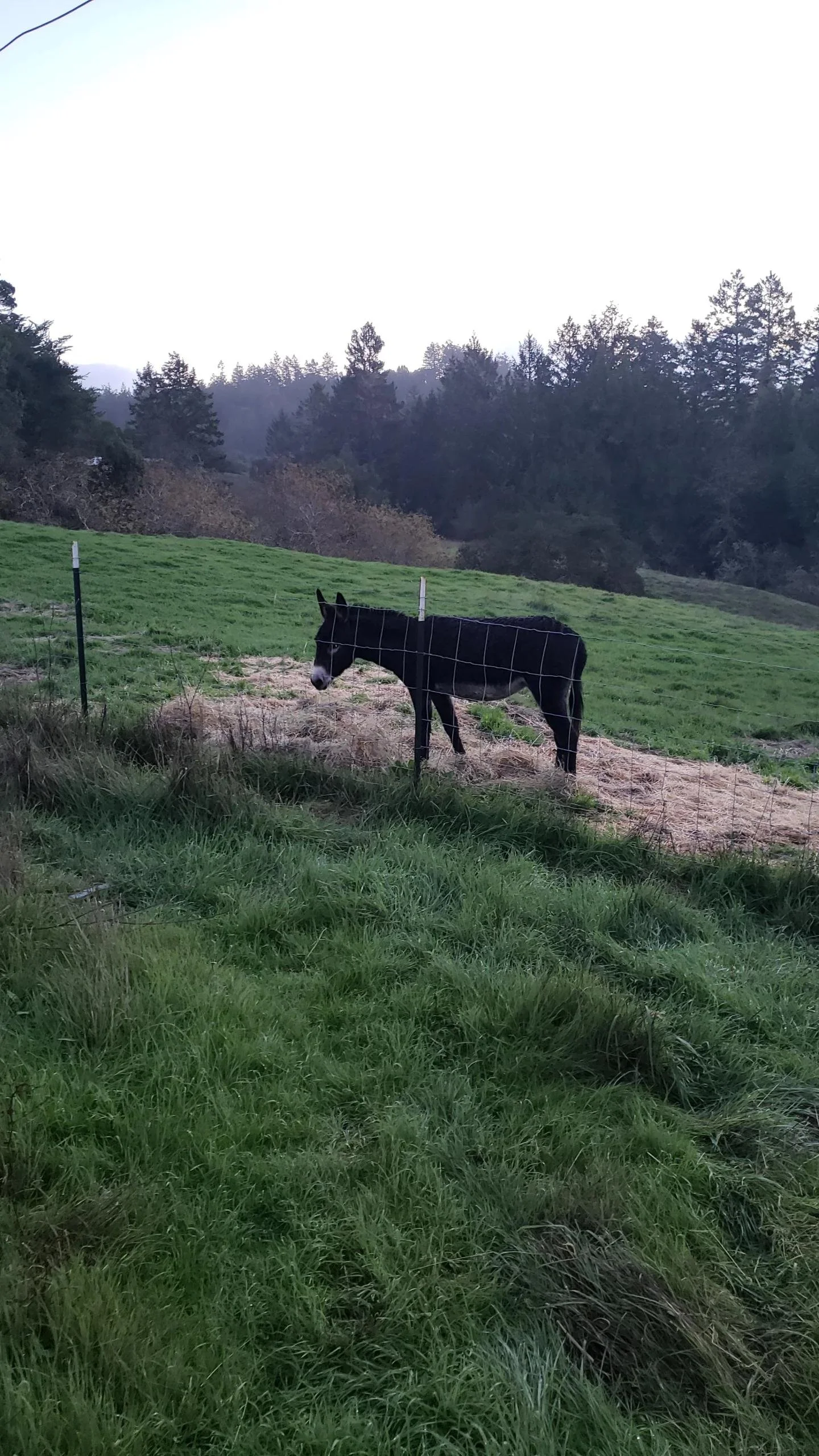 Don or Key (JAN 2026).jpg