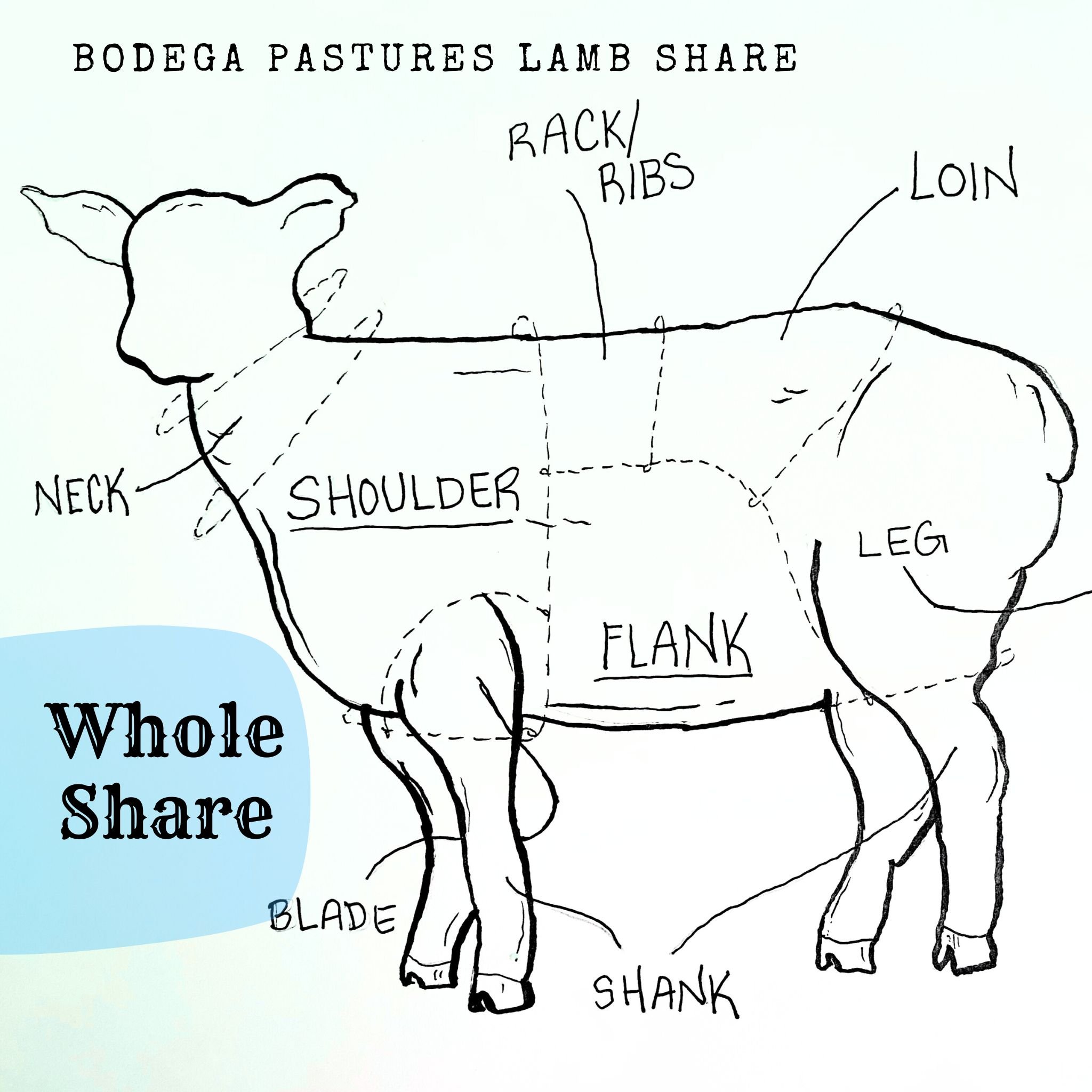 Lamb Share - Whole Share .jpg