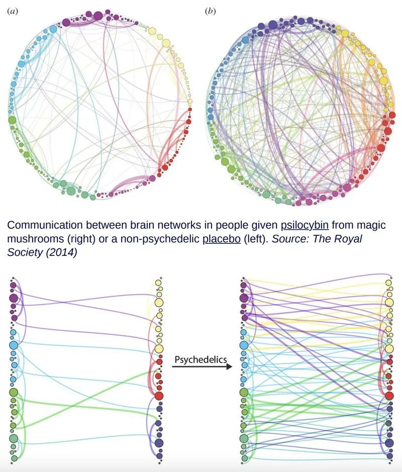 Abstract neural-network illustration representing psychedelic effects on brain connectivity