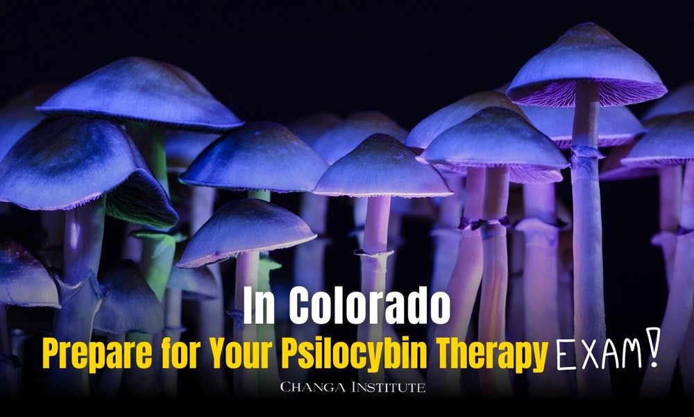 How To Get Certified To Administer Psilosybin In Colorado How to Prepare Psilocybin Therapy Exam in Colorado — CHANGA INSTITUTE