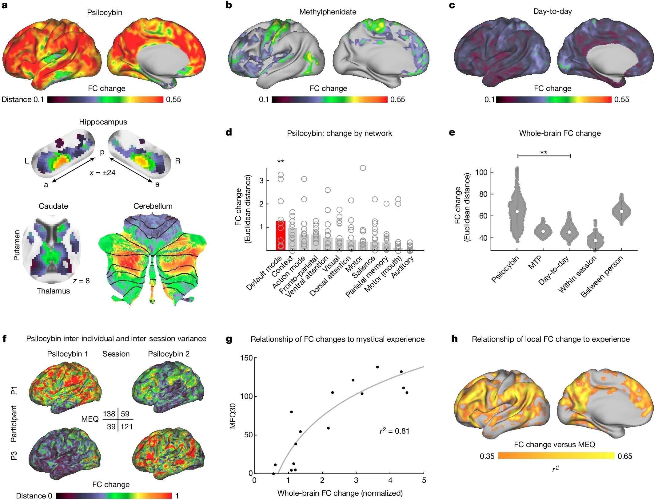Brain network connectivity under placebo versus psilocybin from 2024 imaging research