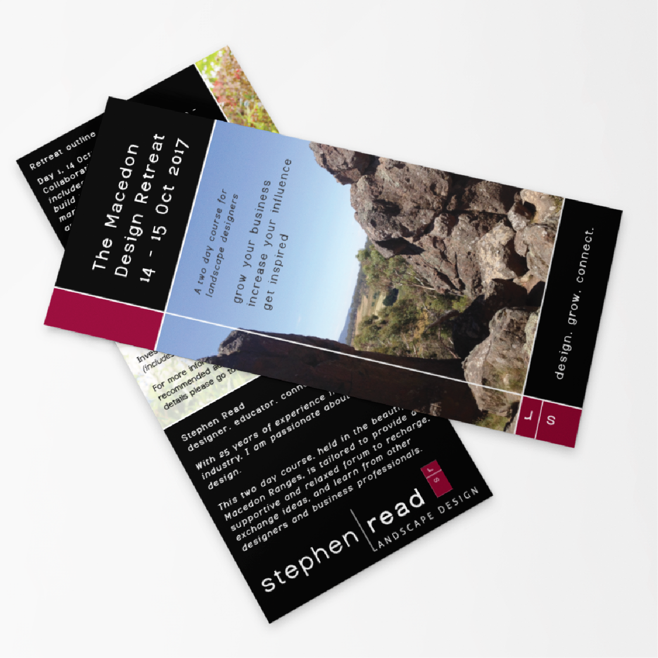STEPHEN READ MOCKUPs_dl flyer.png