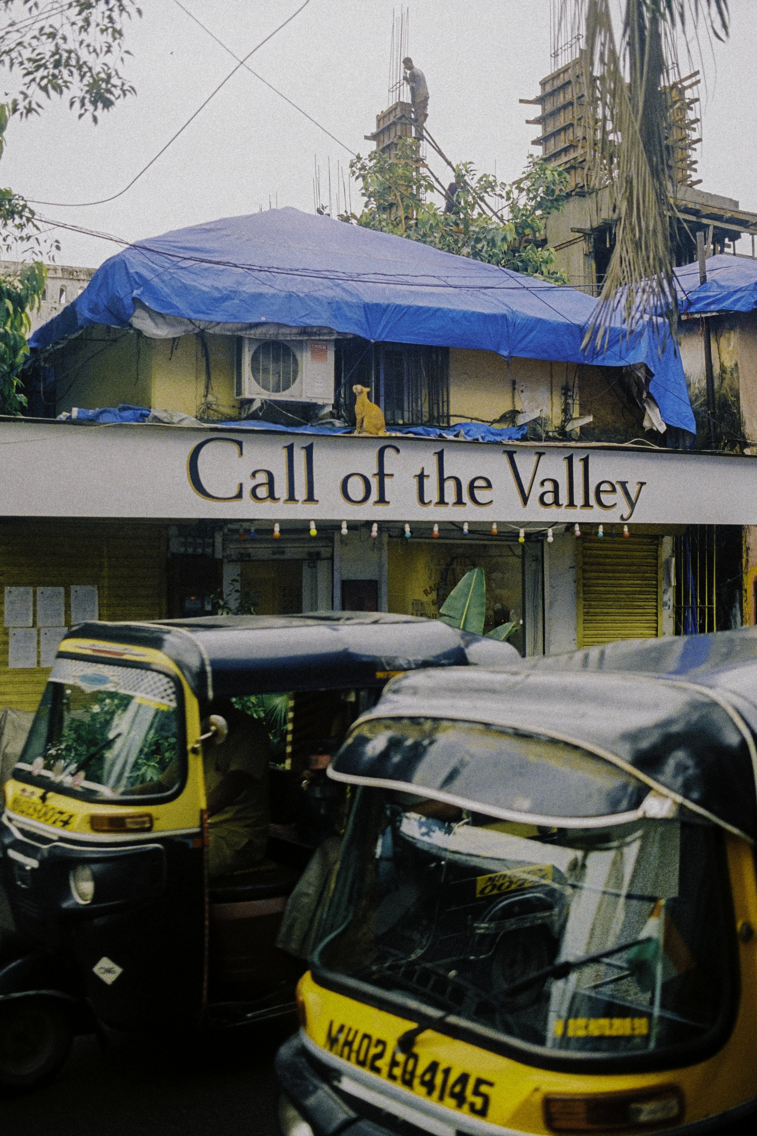 bombayedits-11.jpg