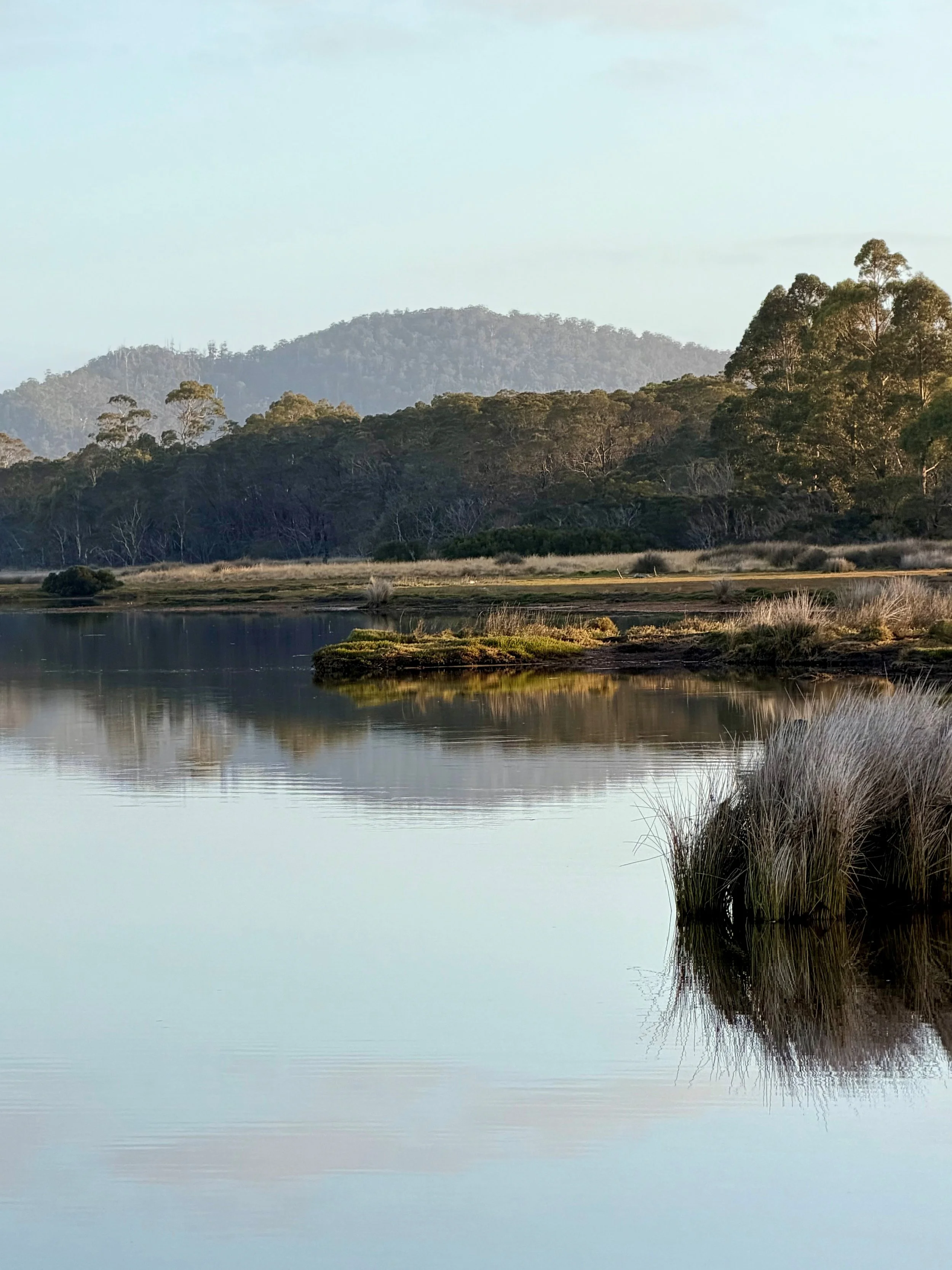Visit Moulting Lagoon.jpg