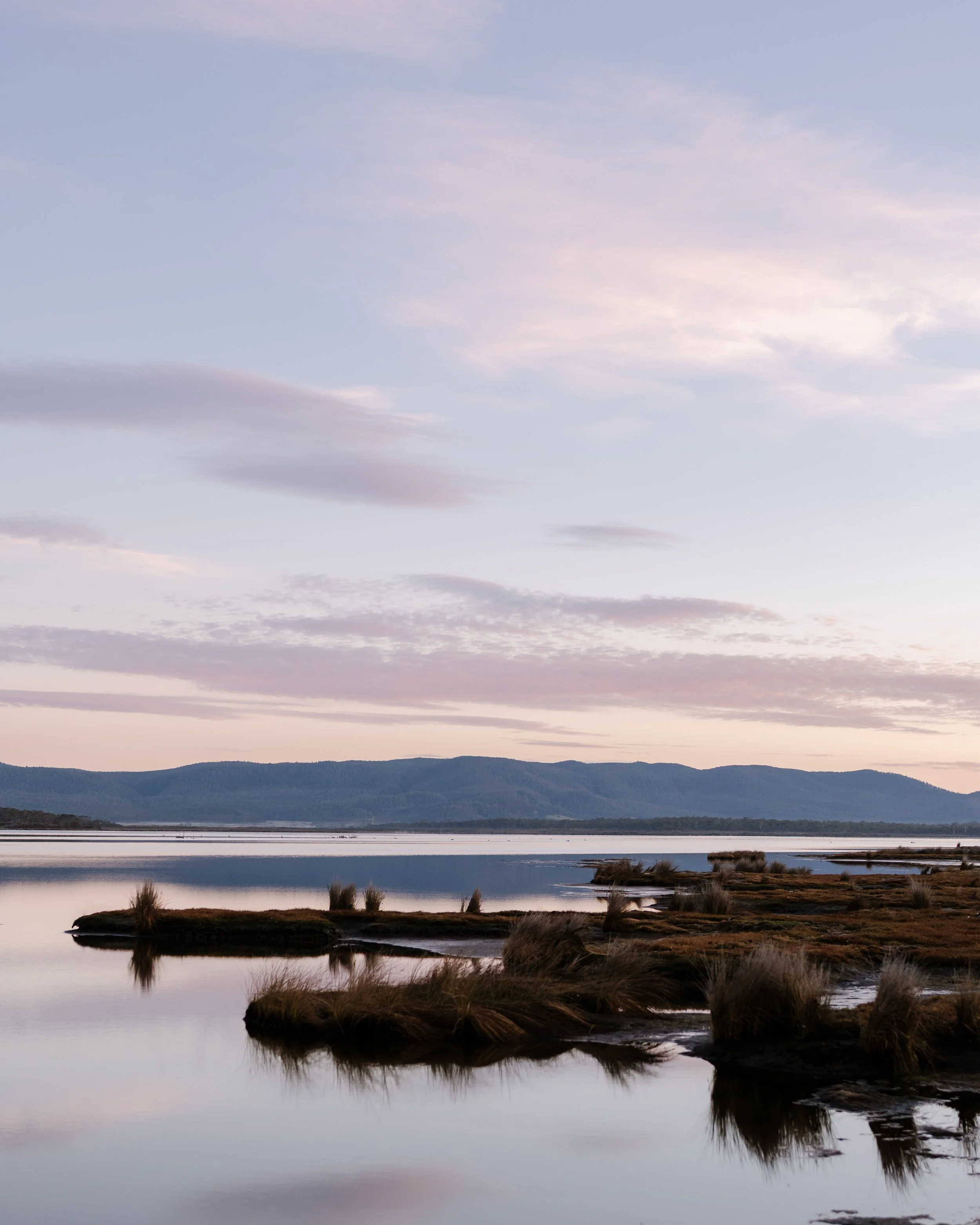 Moulting Lagoon (4).jpg
