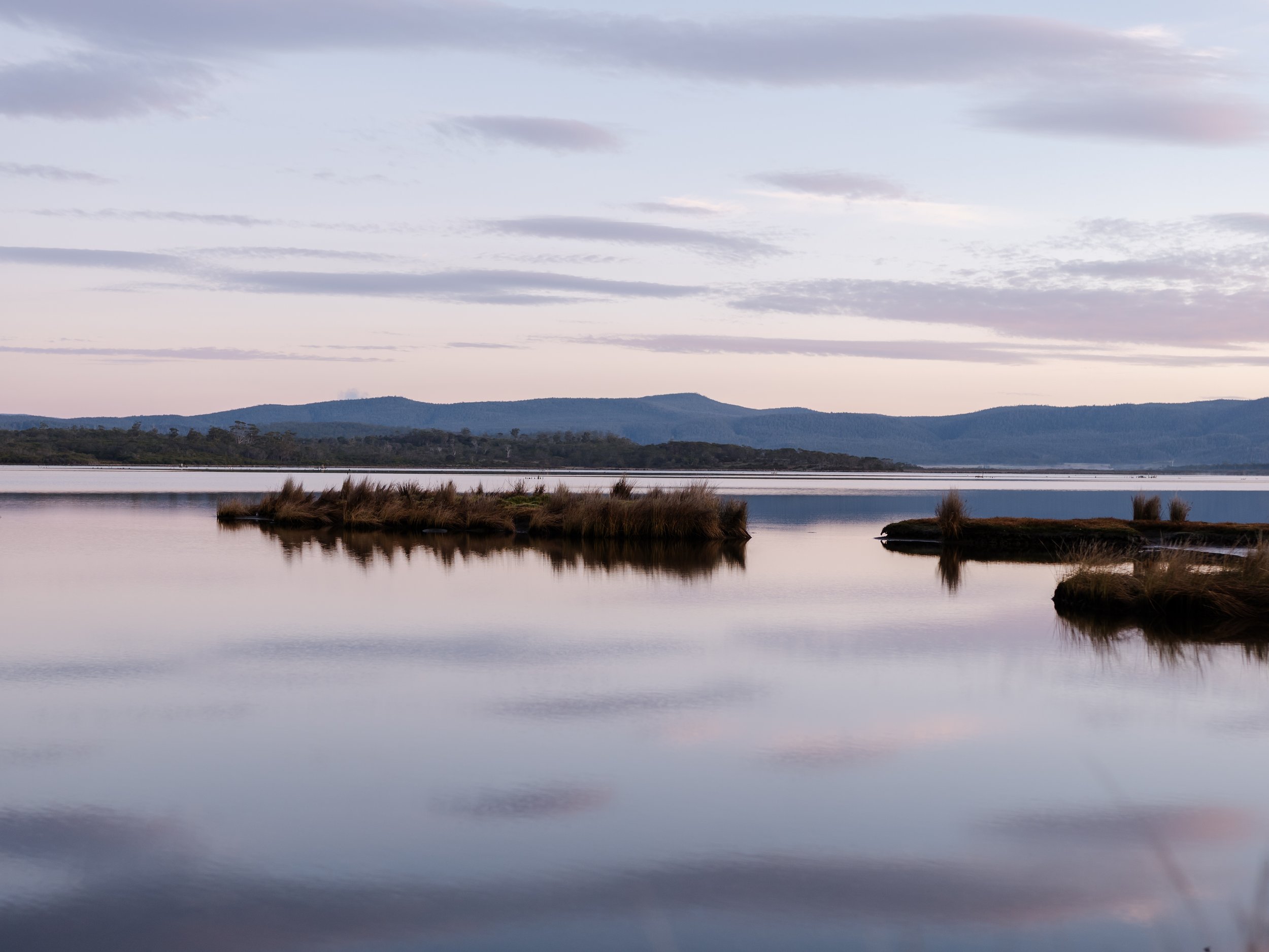 Moulting Lagoon (3).jpg