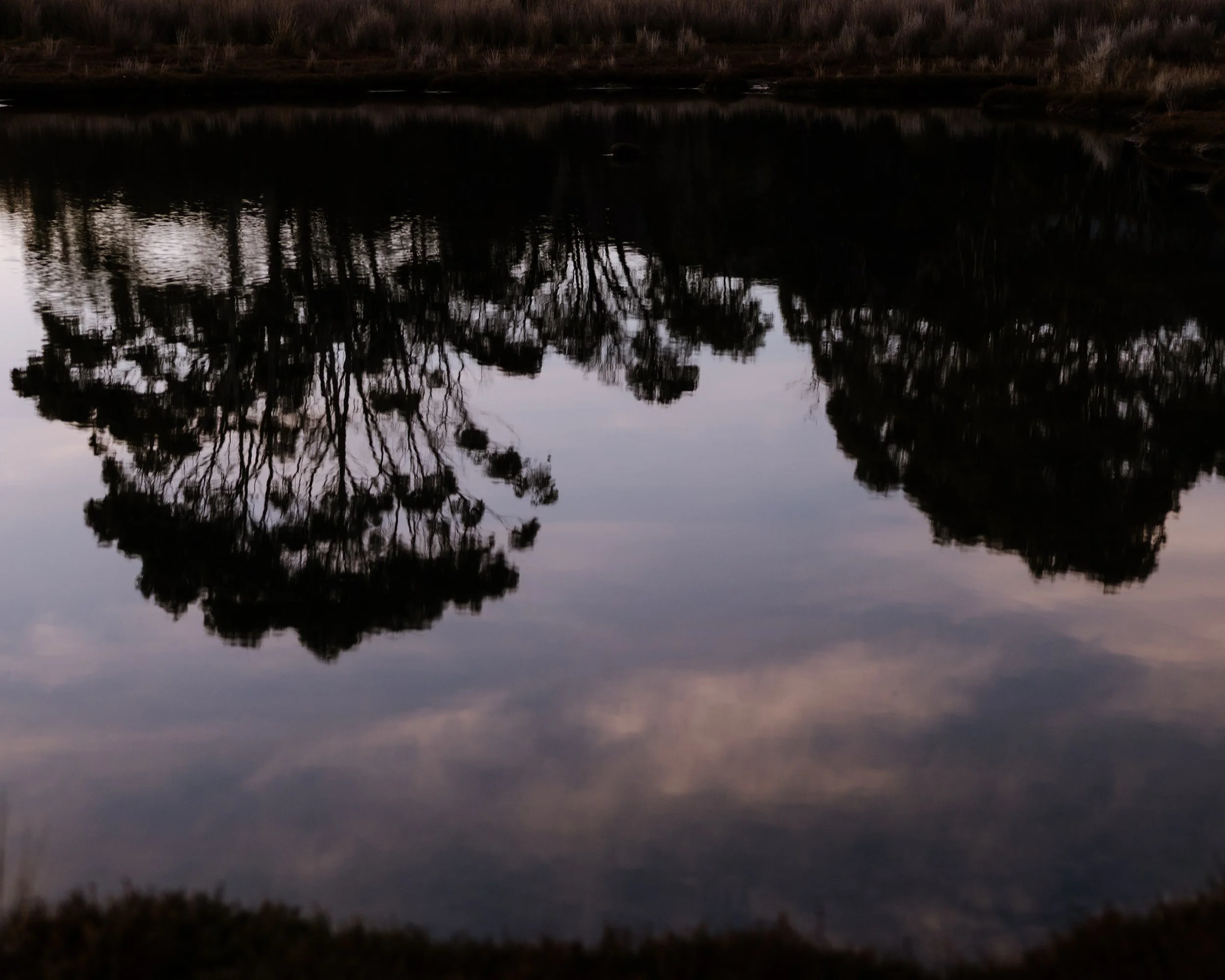 Moulting Lagoon (8).jpg