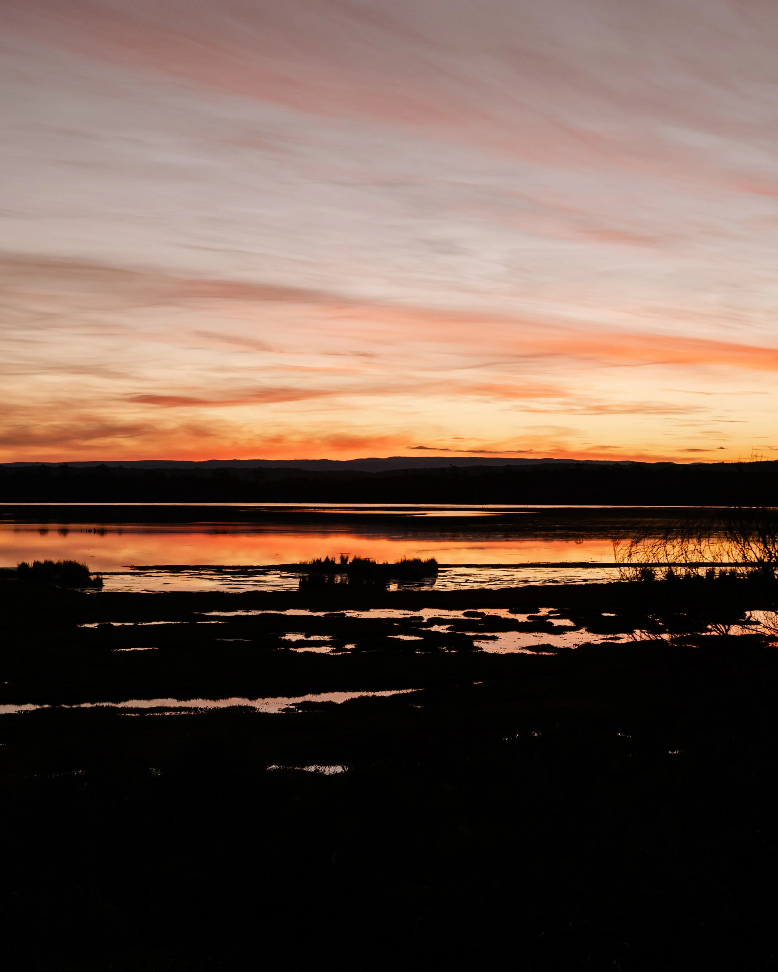 Moulting Lagoon (12).jpg