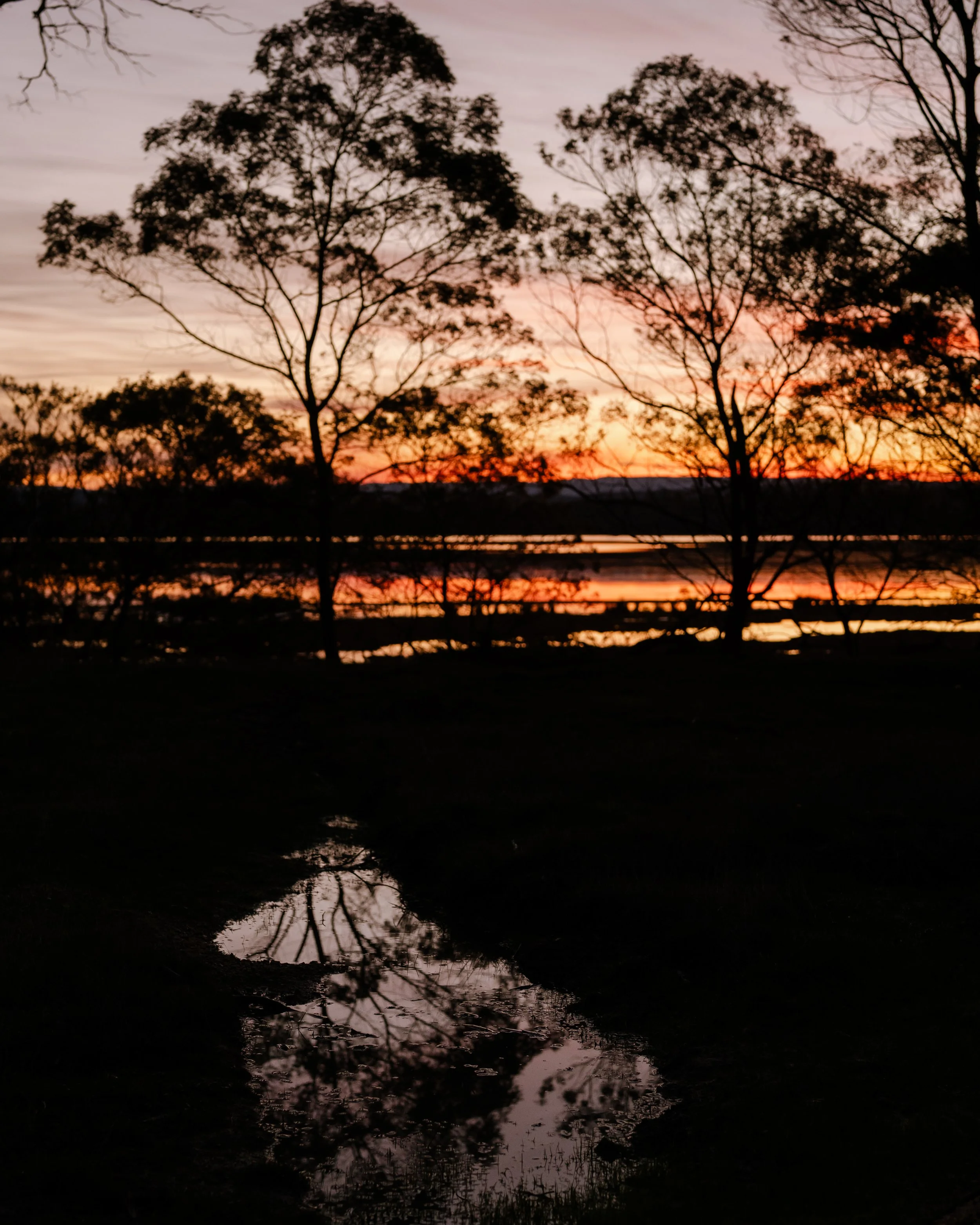 Moulting Lagoon (13).jpg