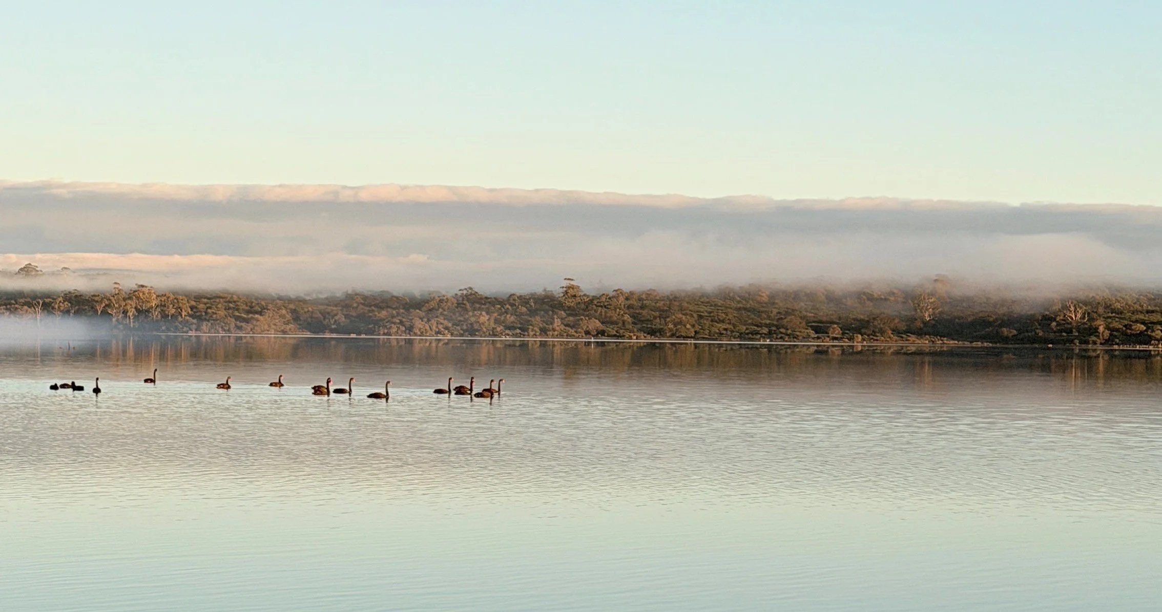 Moulting Lagoon