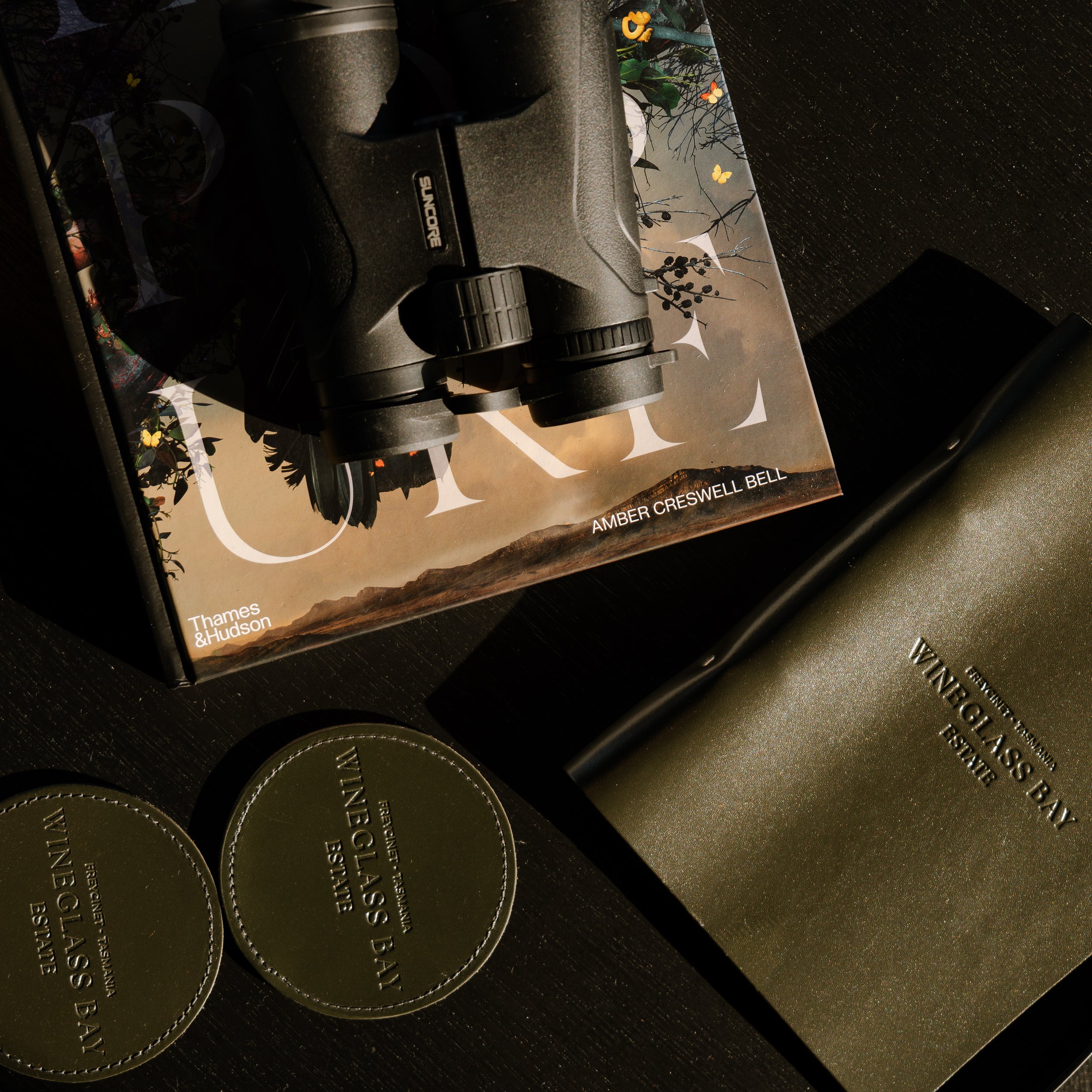 Binoculars for birdwatching on Moulting Lagoon – Wineglass Bay Estate retreat