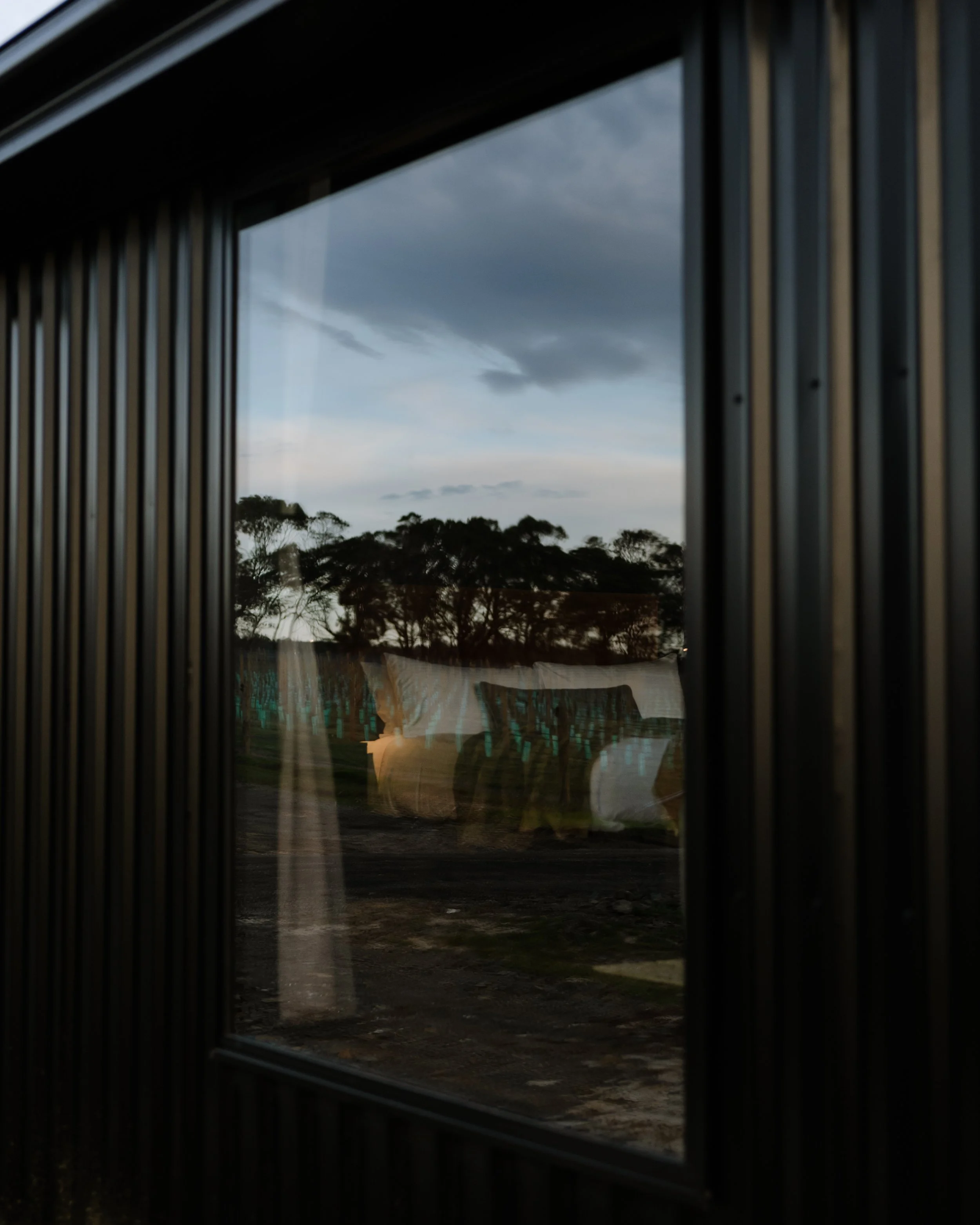 Wineglass Bay Estate (10).jpg