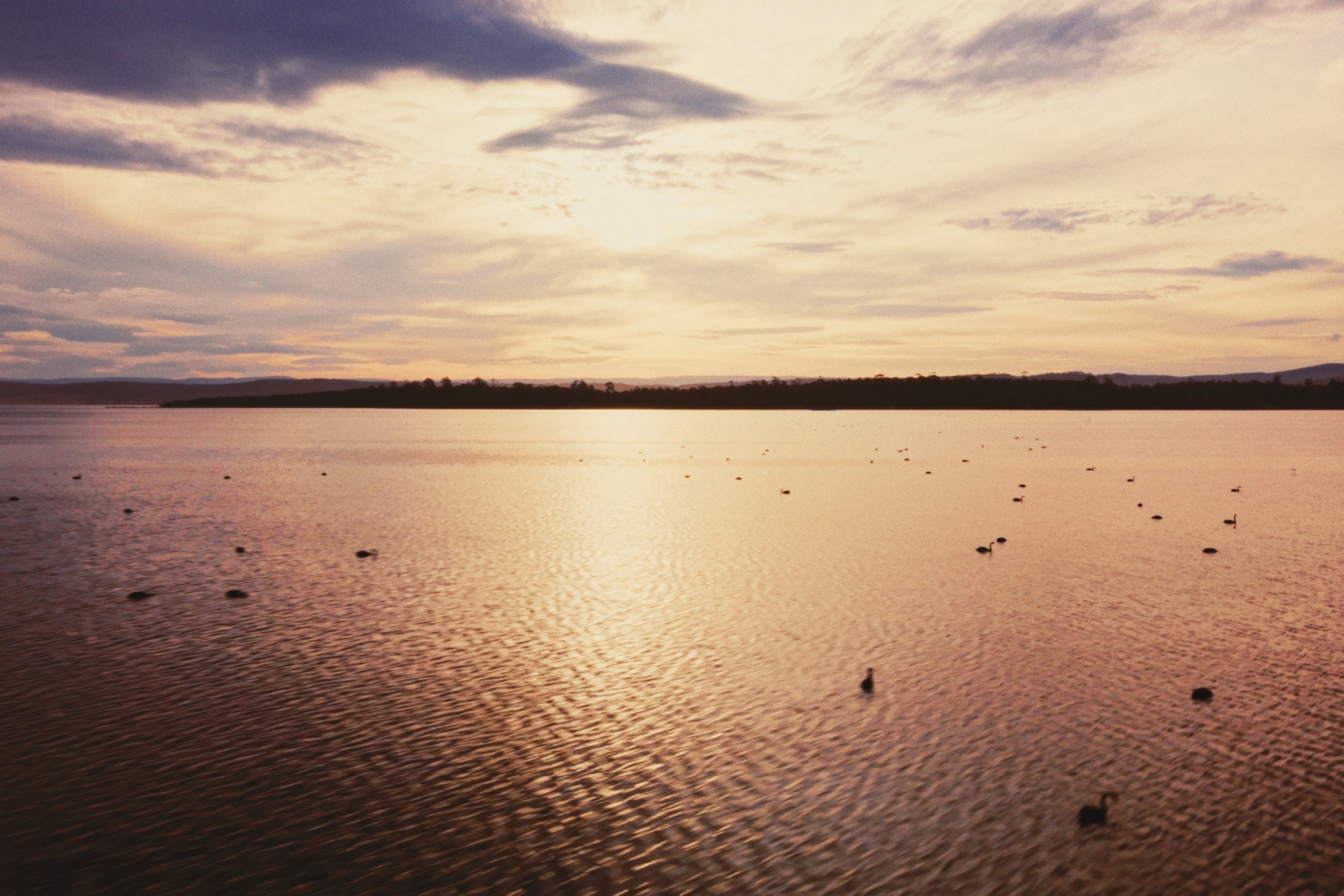 A tranquil body of water reflecting the golden and purple hues of a sunset sky with scattered clouds, and a few birds floating on the water.