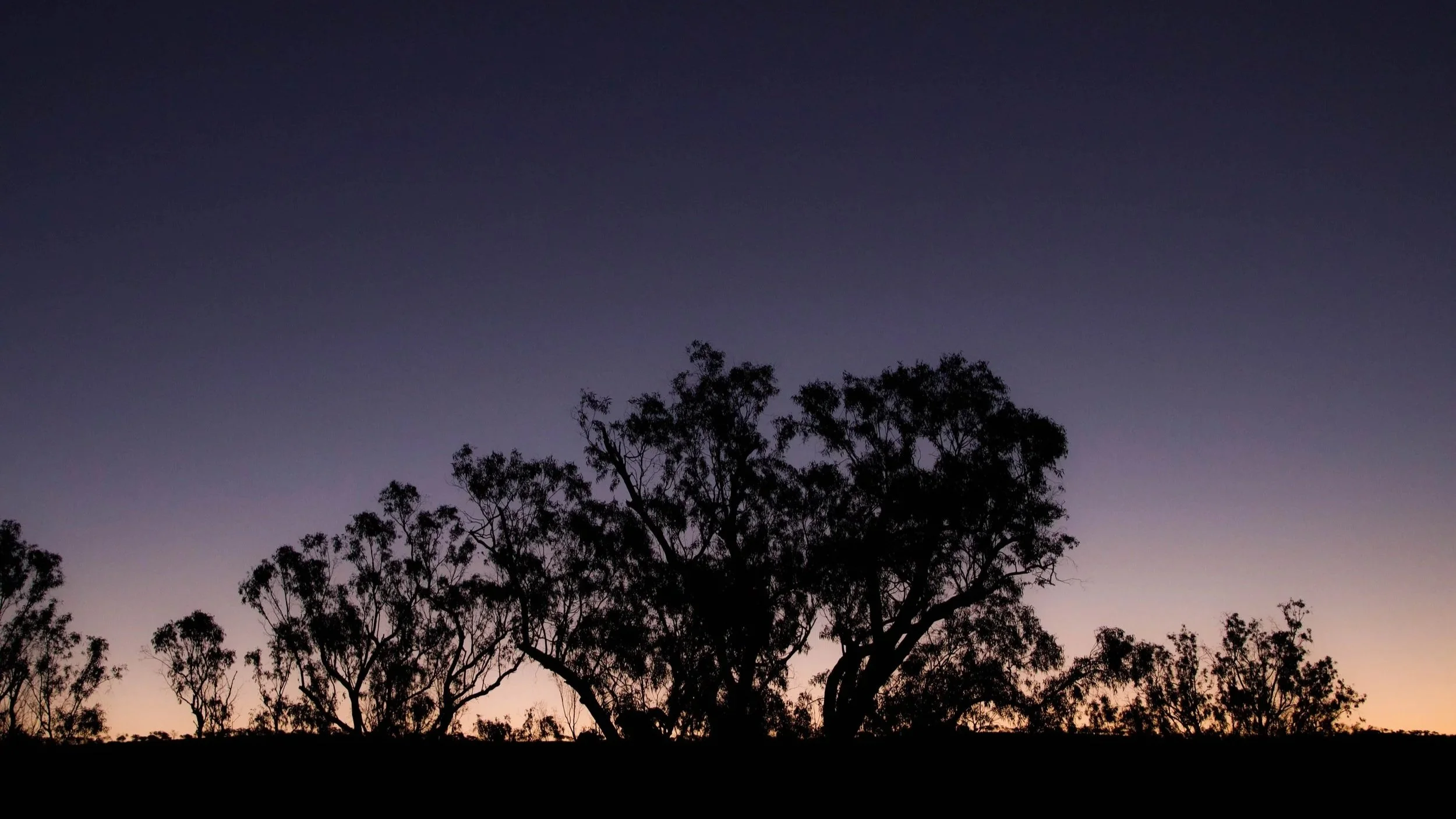 What Are Some Luxury Accommodations Near Freycinet National Park?