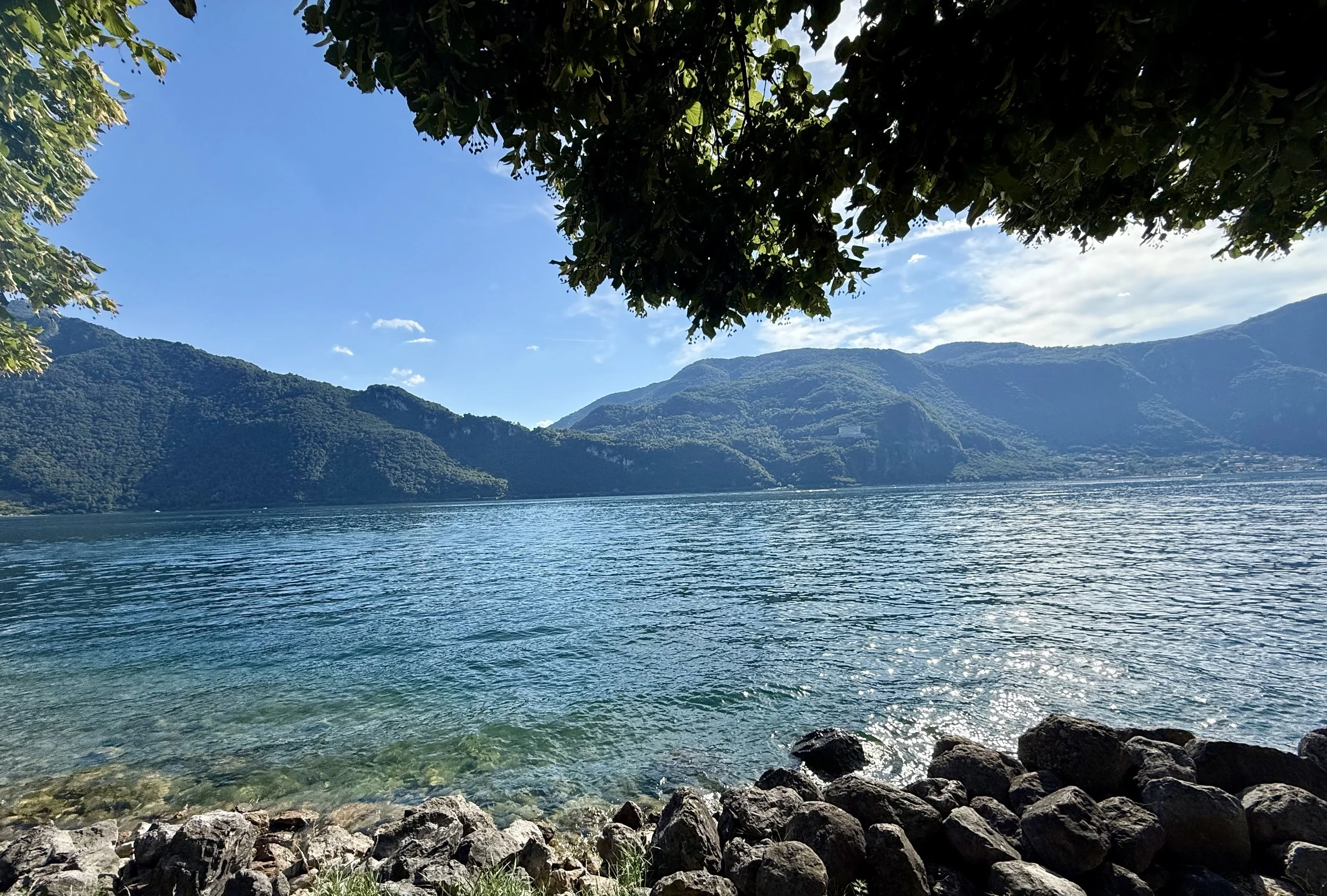 IMG_6827.jpeg