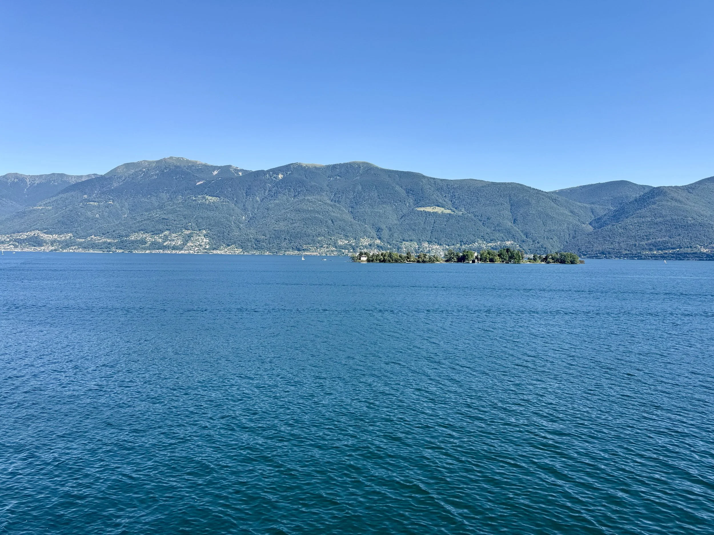 IMG_6600.jpeg