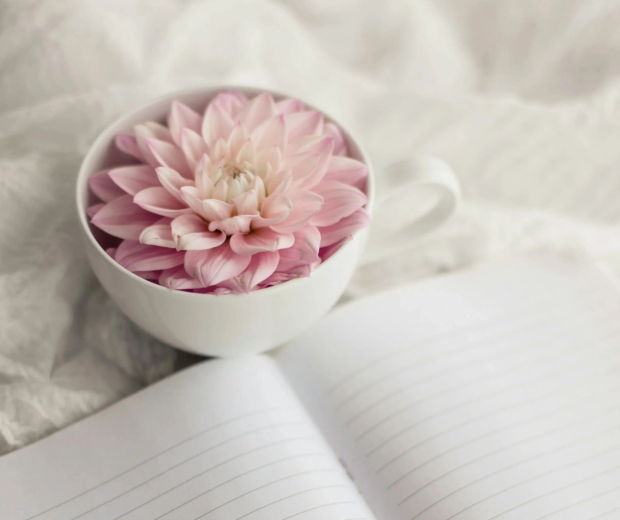 Cup, flower, and notebook on a table