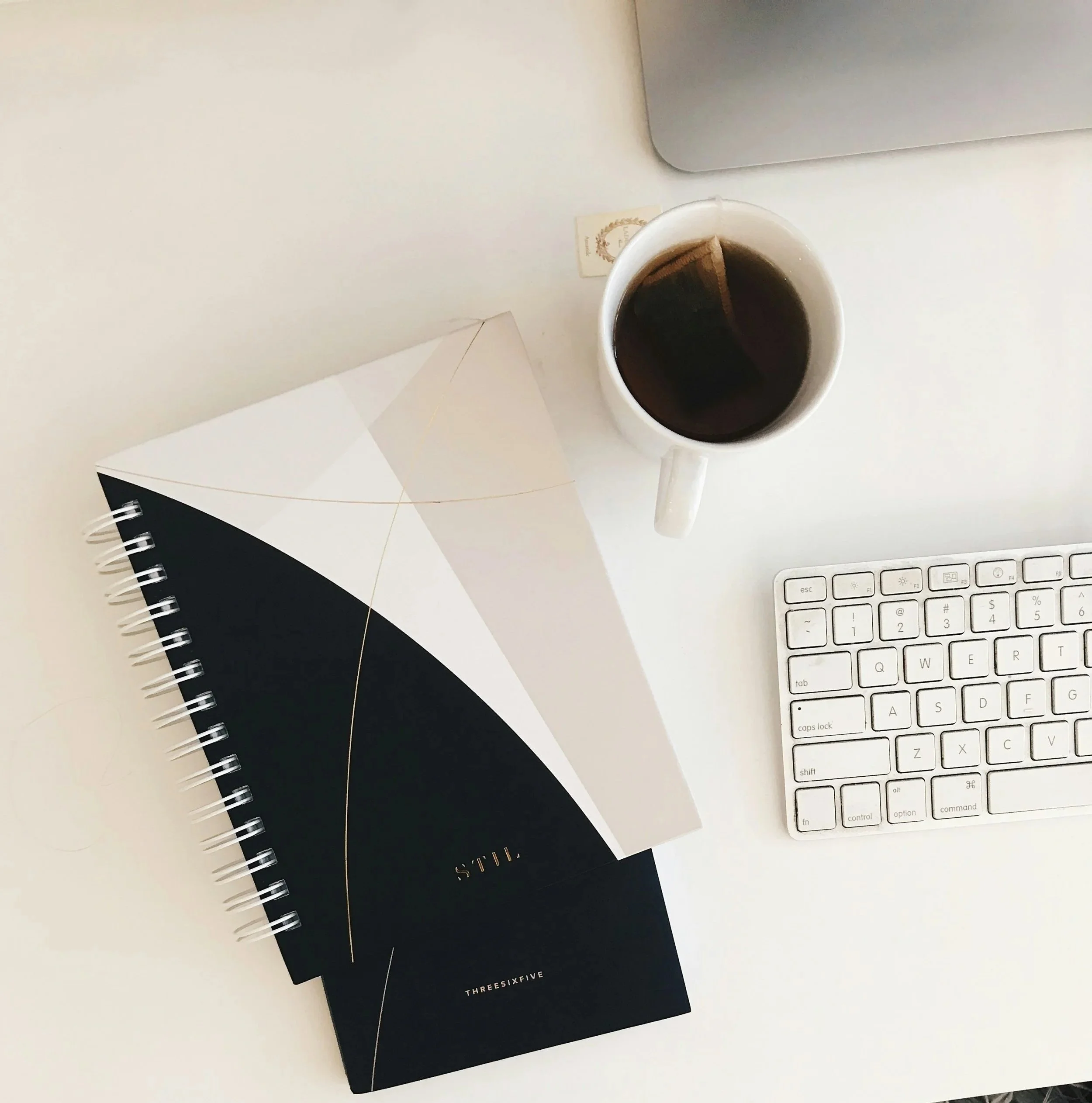 Erika Lopez Attachment Informed Therapist