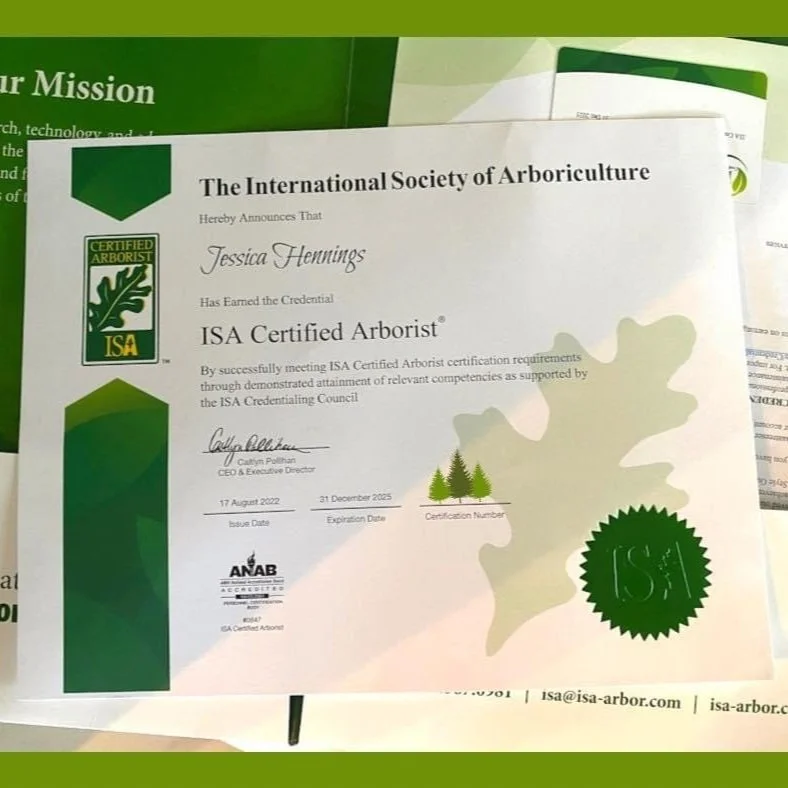 AAA TREE SERVICE LLC gallery 4