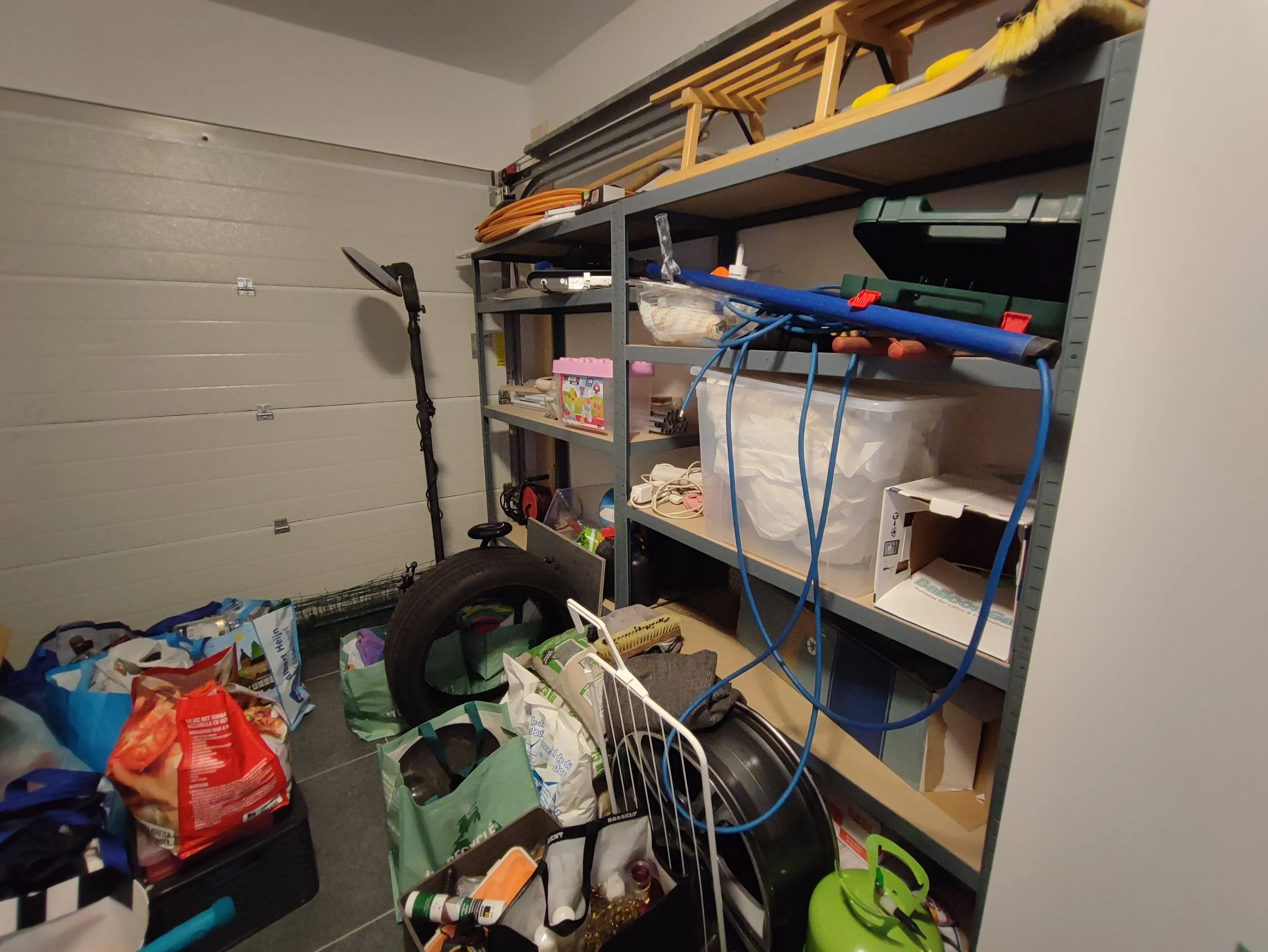 Professional Organizer for a garage