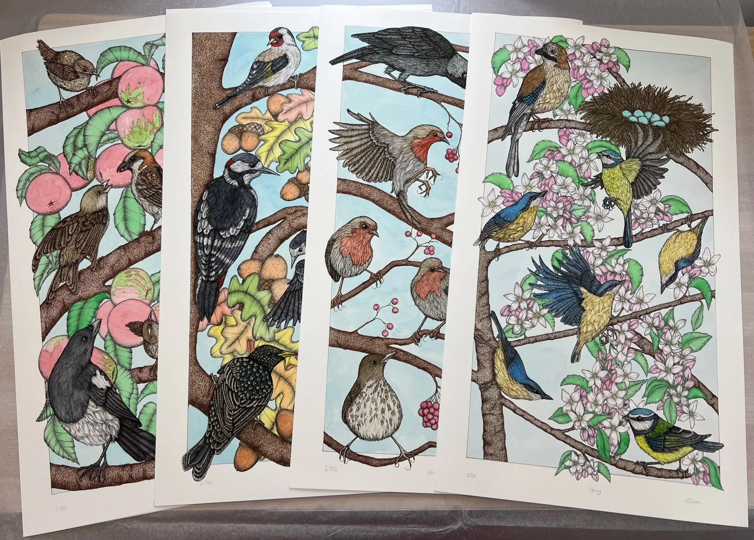 Giclée Prints