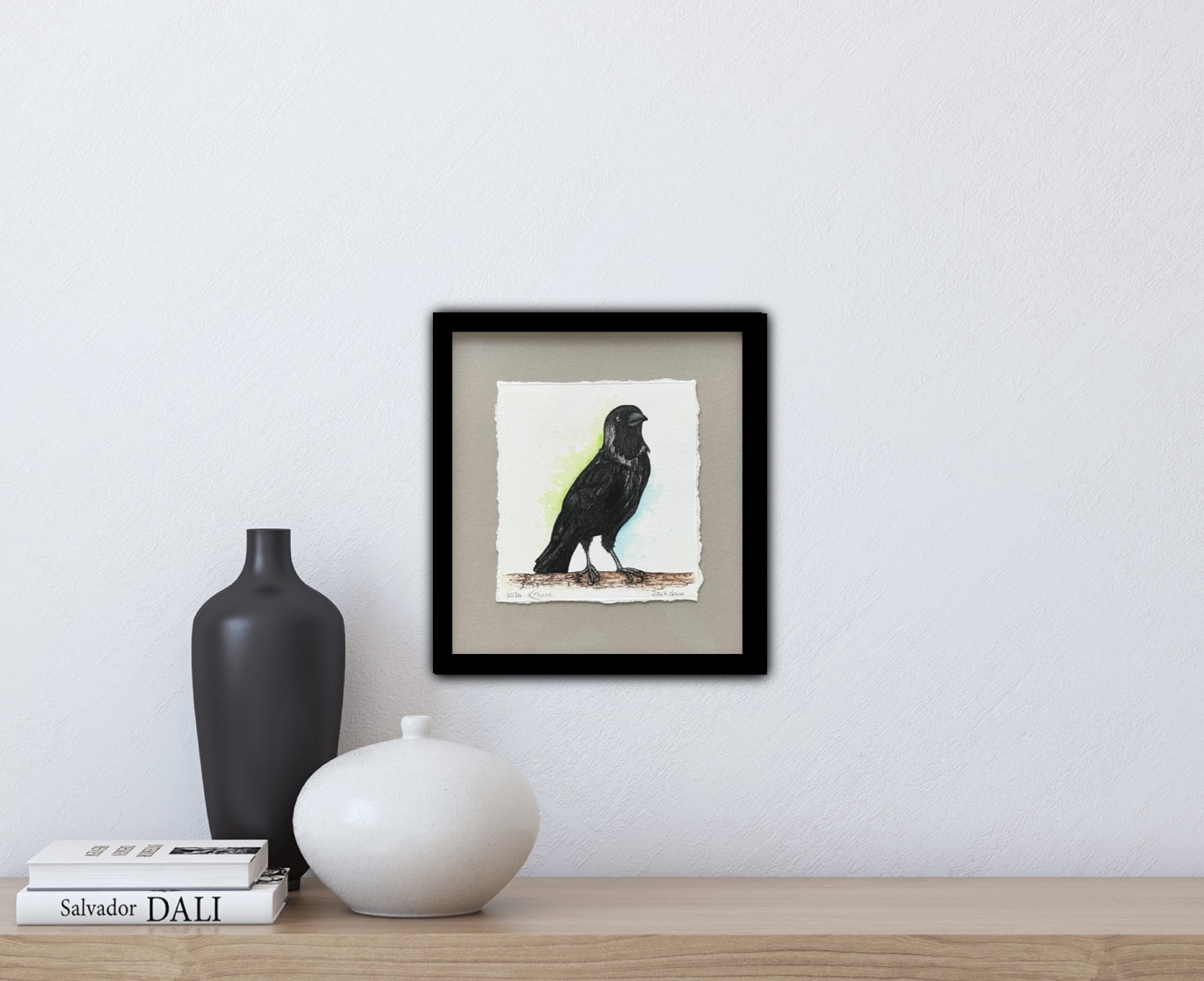 Jackdaw