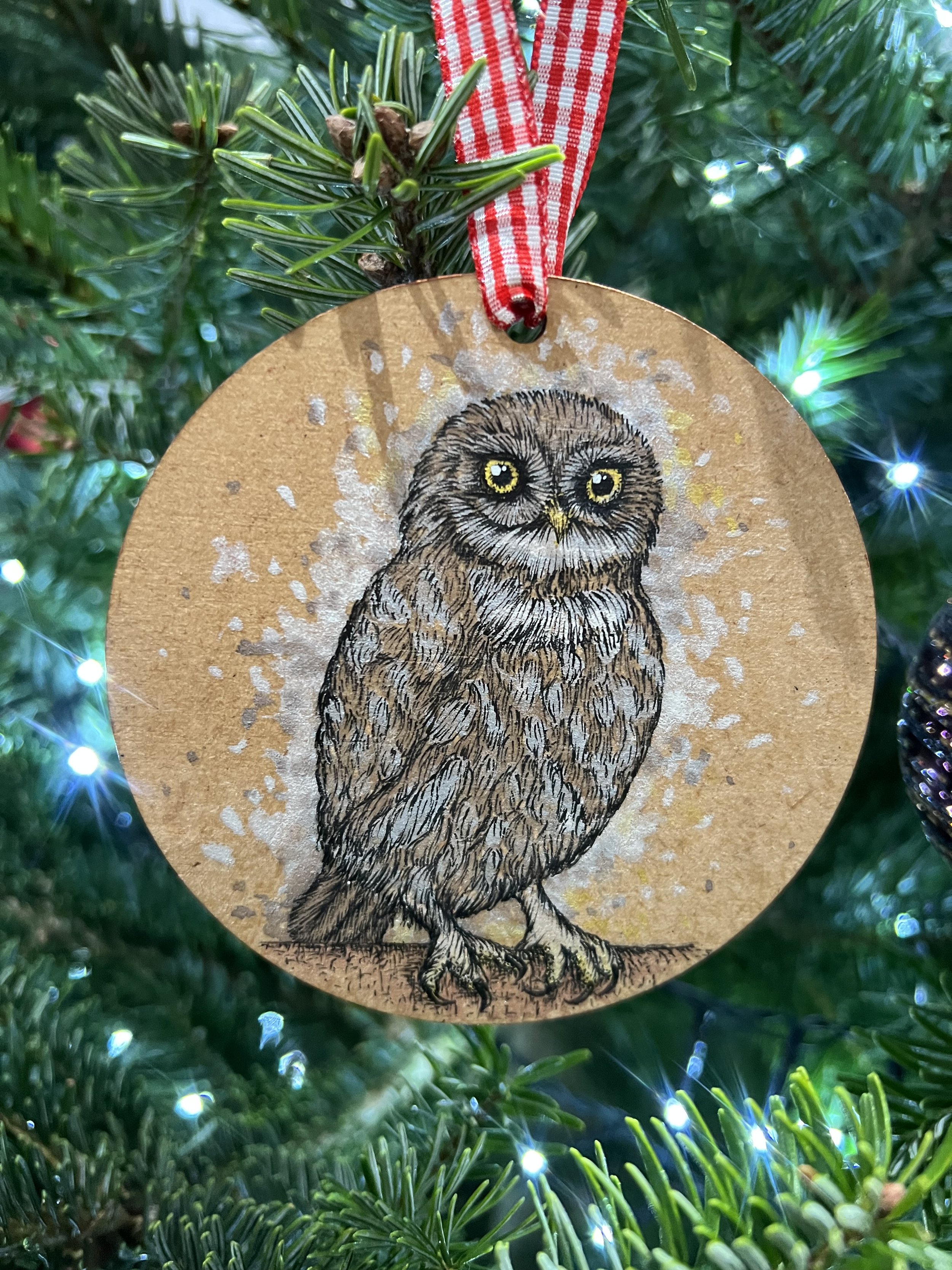 Little Owl