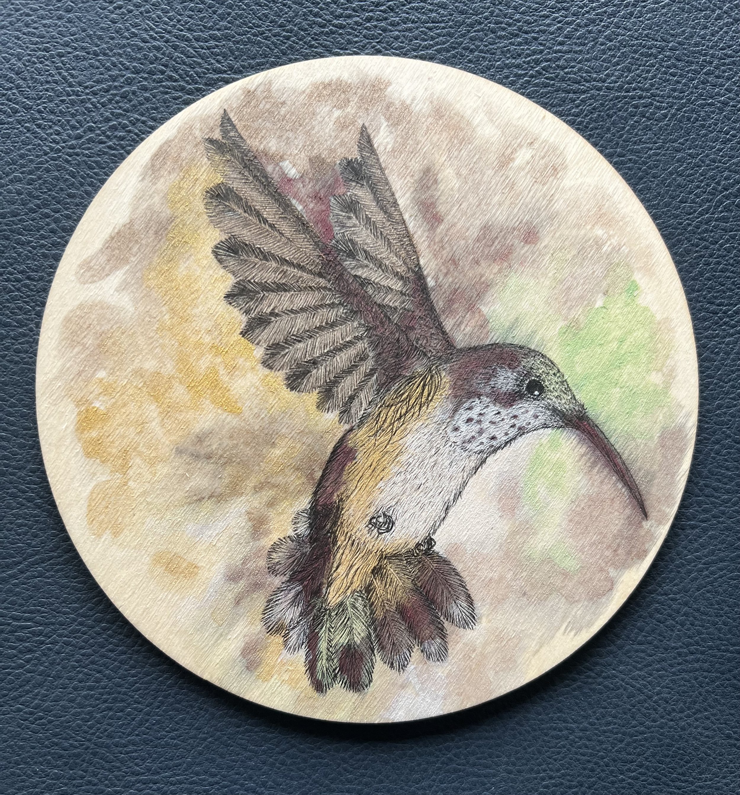Allen’s Female Hummingbird
