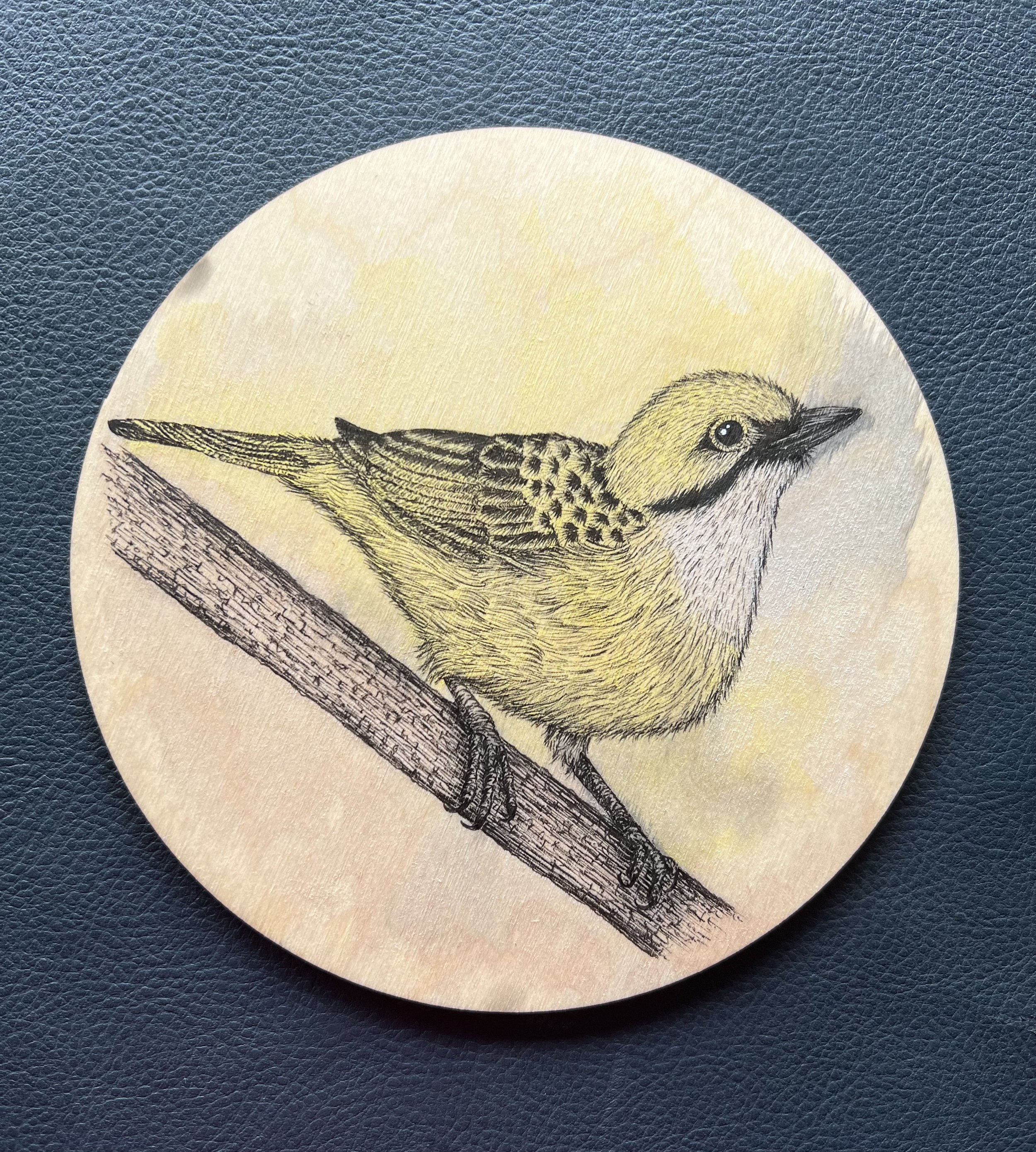 Silver Throated Tanager no.2