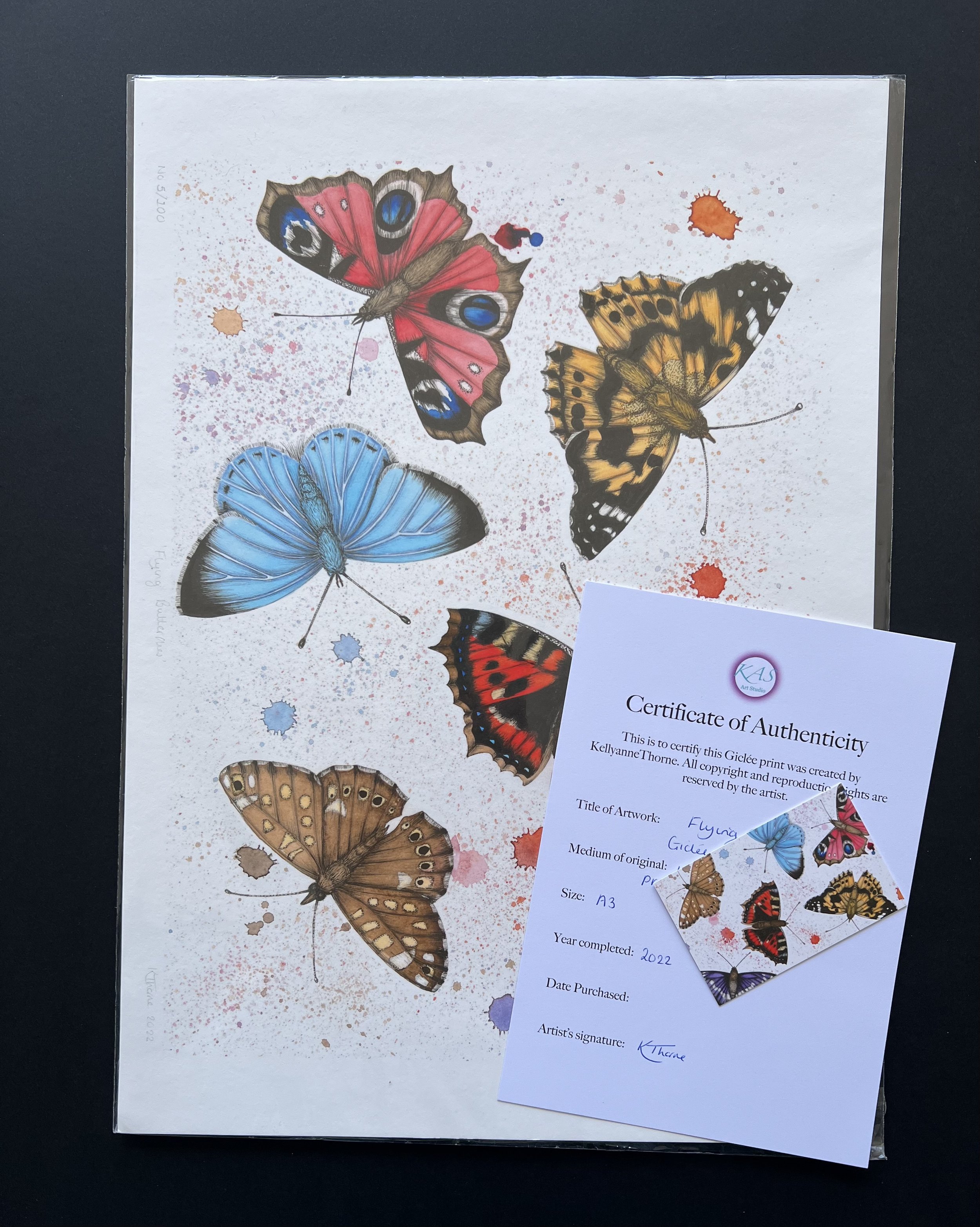 Flying Butterflies