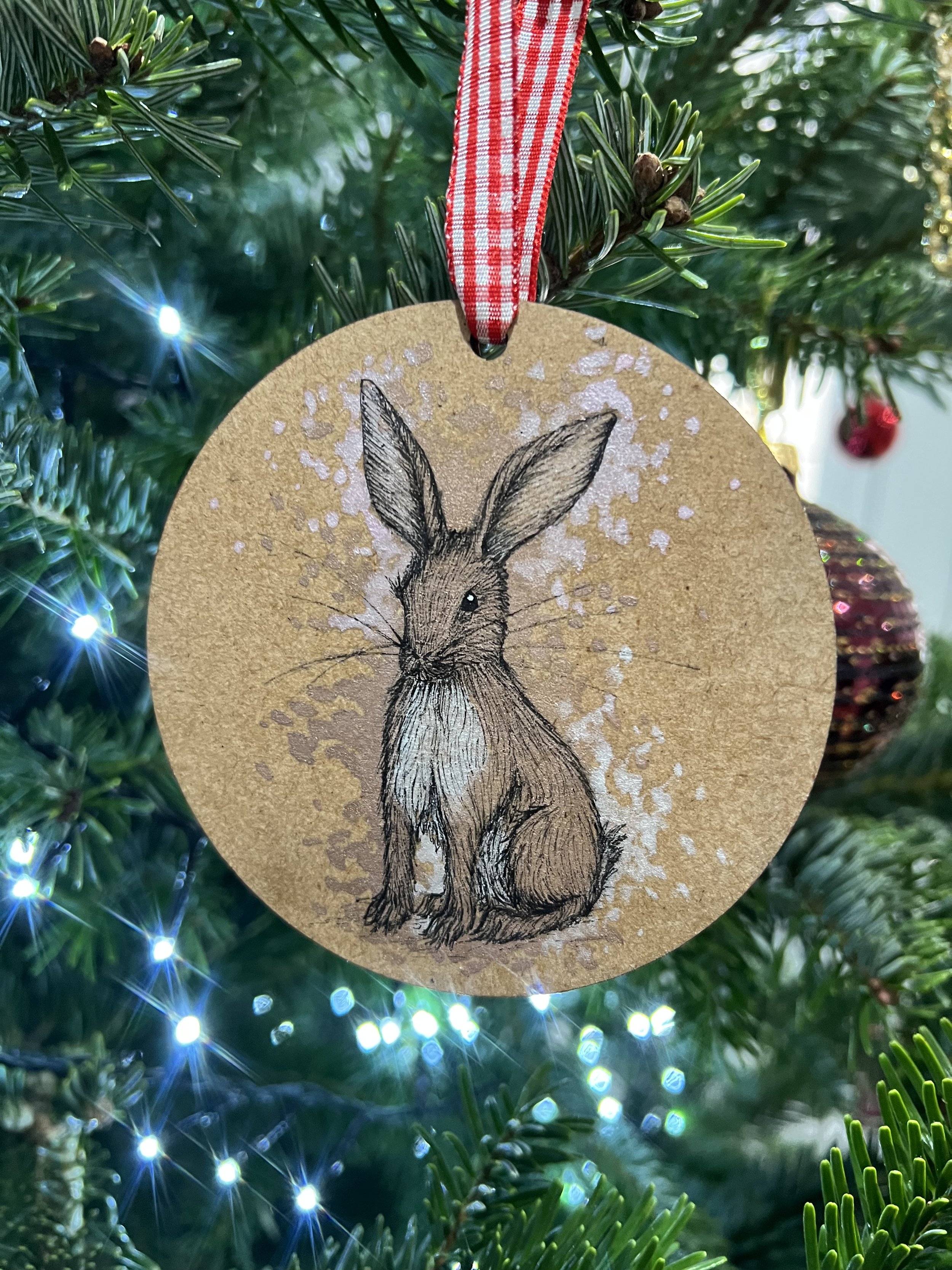Wild Rabbit