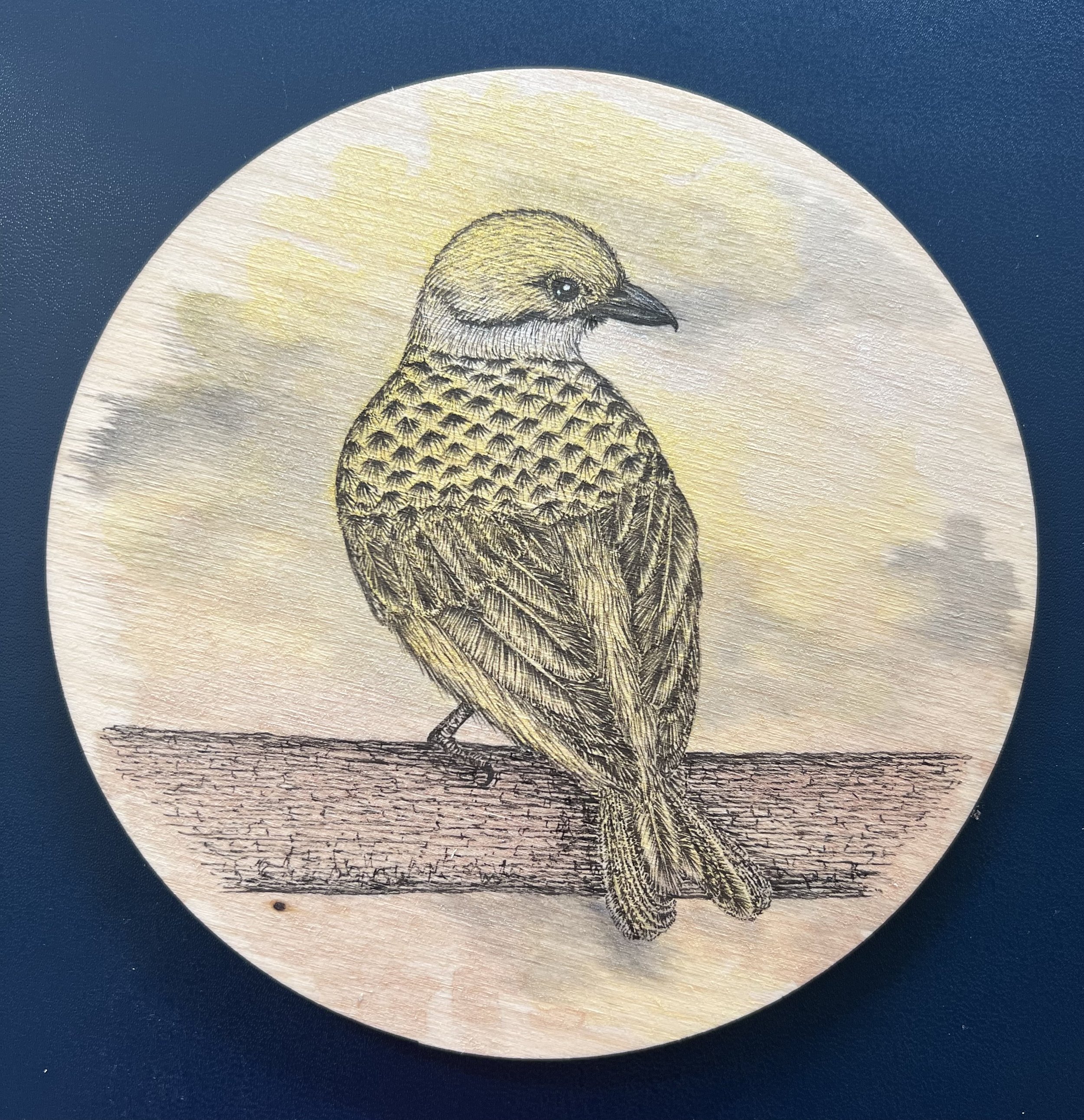Silver Throated Tanager no.1