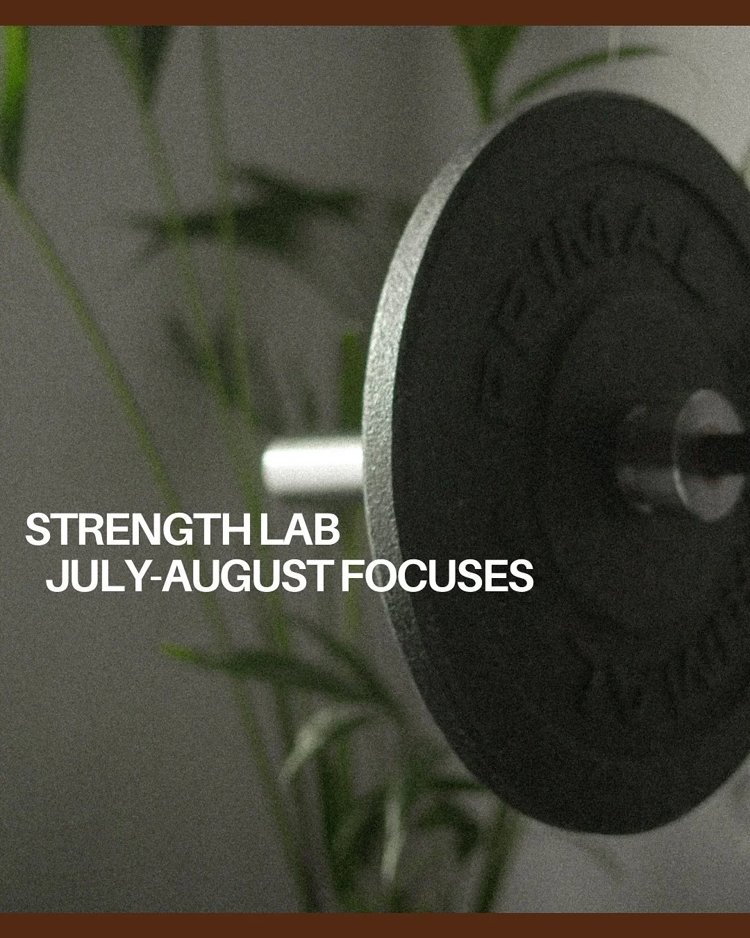 🔥 Your July &amp; August Strength Lab Focuses are here

Deadlifts, strict press, squats, rows and more &mdash; eight weeks of big, heavy lifts to keep you moving well and getting stronger every single session.

Come get your reps in, refine your tec