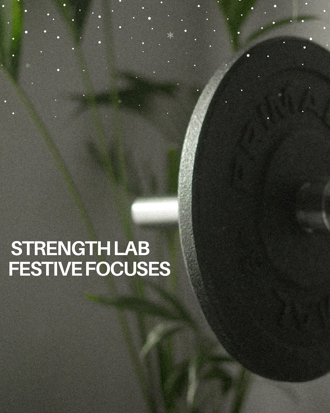 Festive block loading 🎯

Seven weeks of lifting, volume, and structure to carry you into the end of the year. Shorter than usual, but built for growth &mdash; not chaos. It&rsquo;s about locking in before we shift to our new three-month programming 