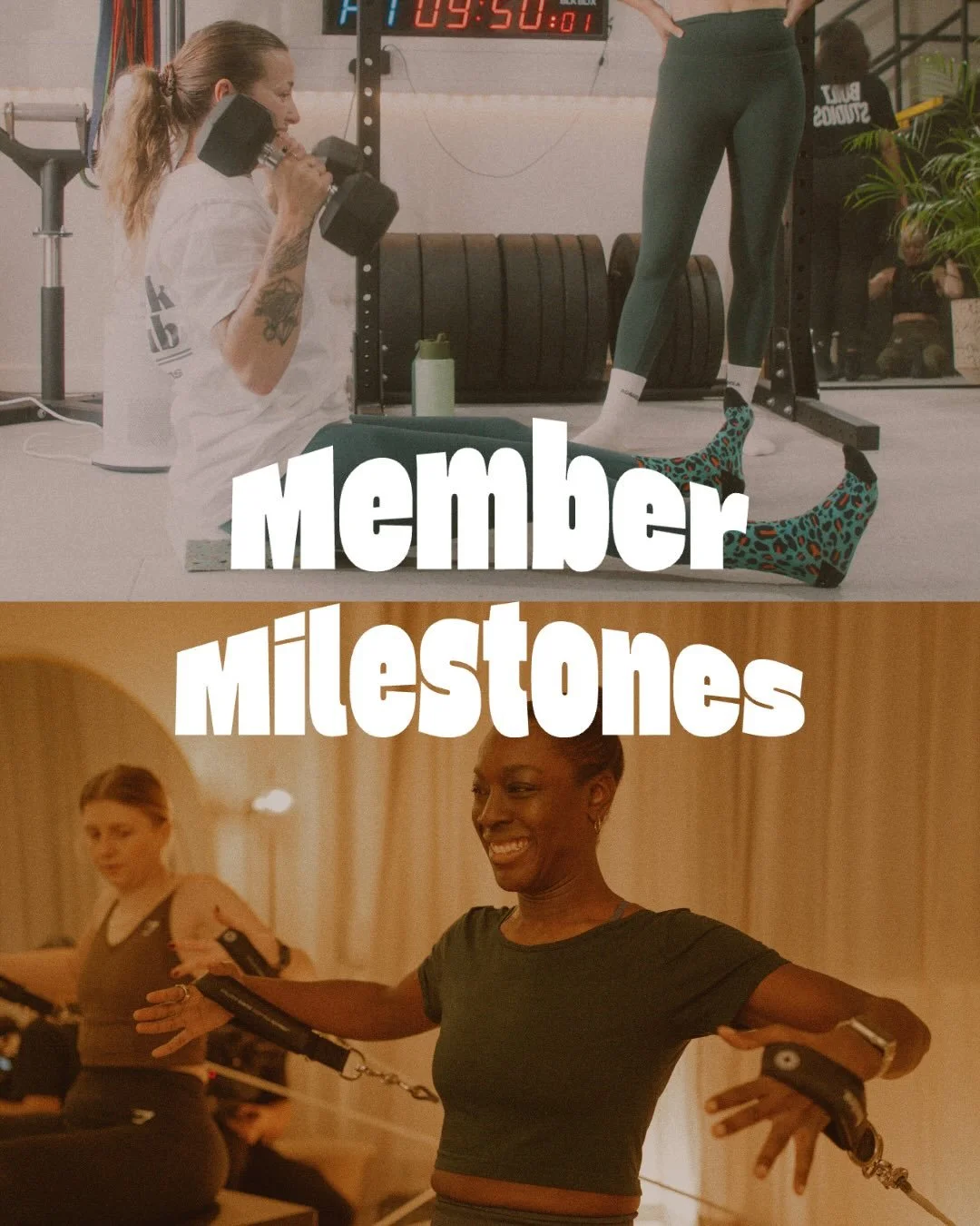 ✨ MEMBER MILESTONES PART 1 ✨

A LOT has happened since our last milestone post in November 🙌 

These amazing women have hit 100 classes with us and three have completed over 250 !!!

Through winter, through life, through it all. They showed up and d