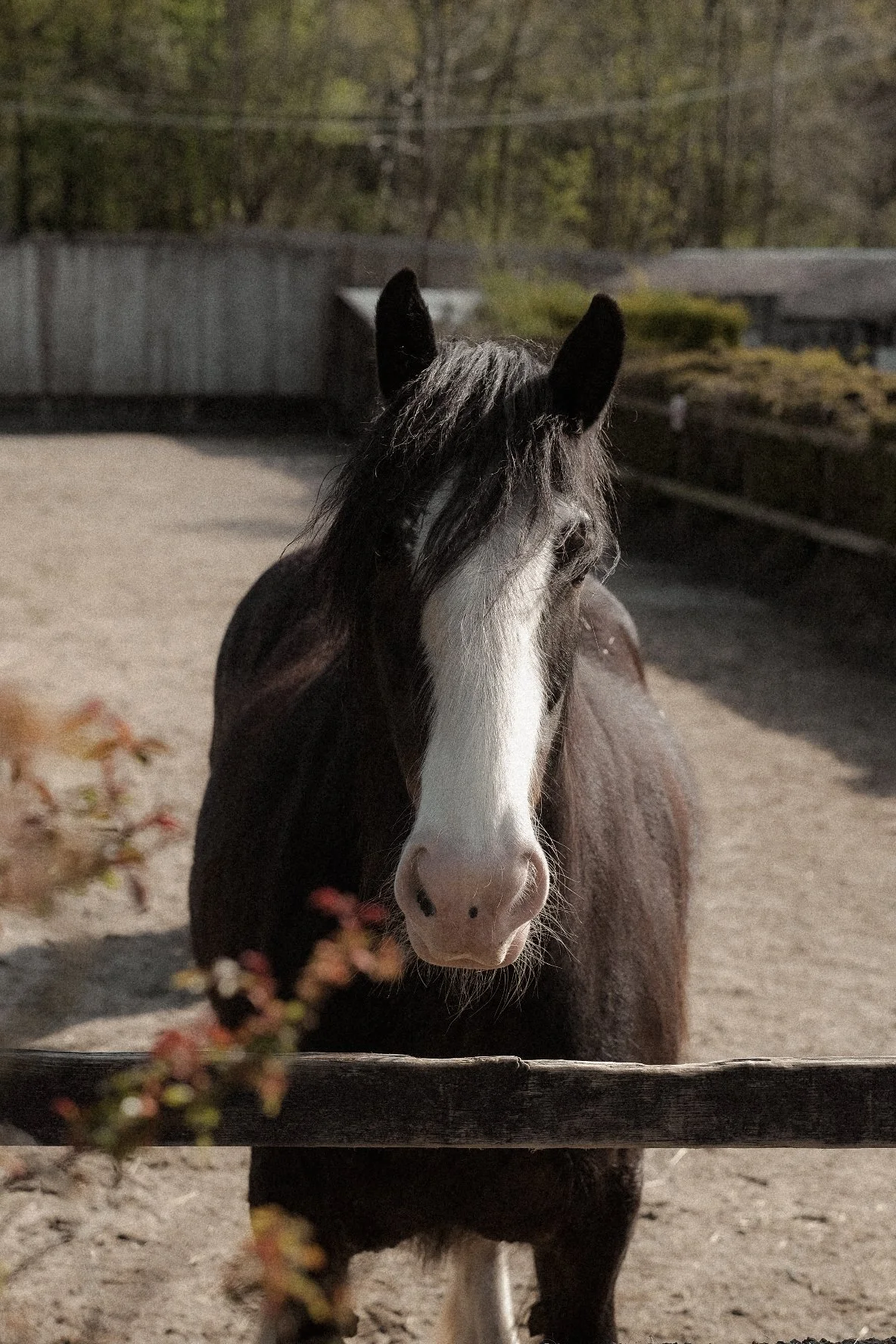DSCF5108.jpg