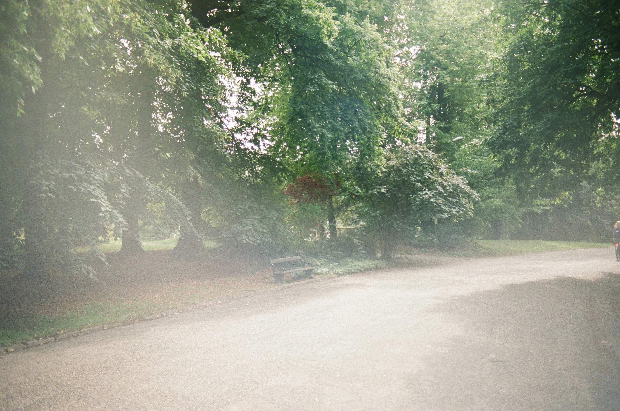BELGIUM (45 of 69).jpg