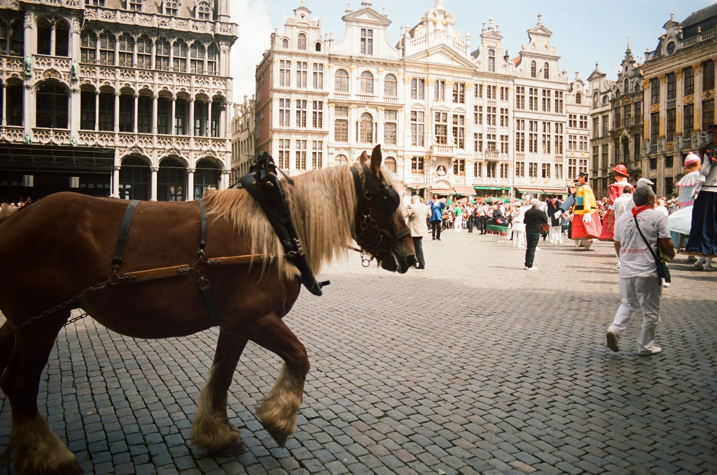 BELGIUM (23 of 69).jpg