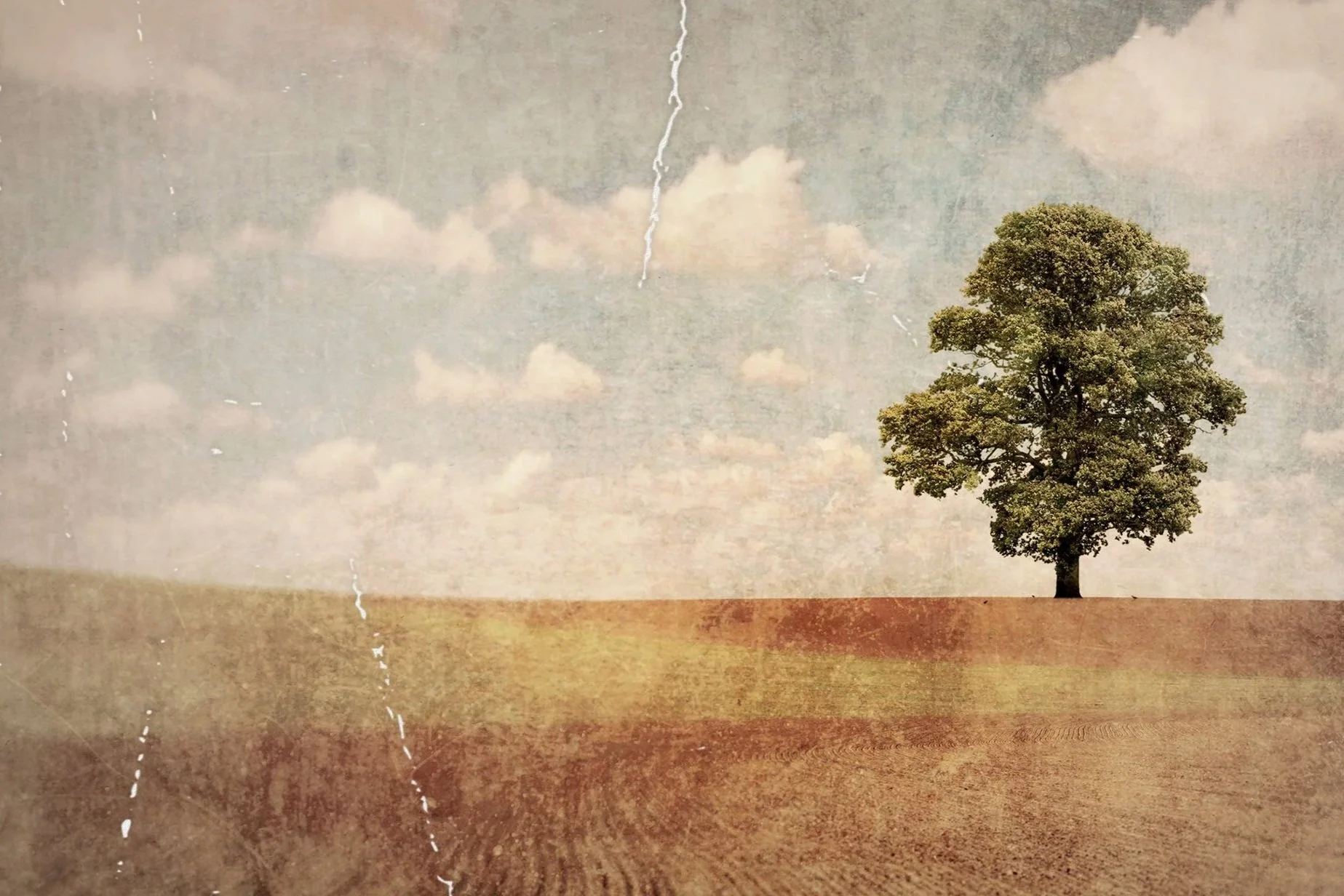 I walked until I couldn’t see the road