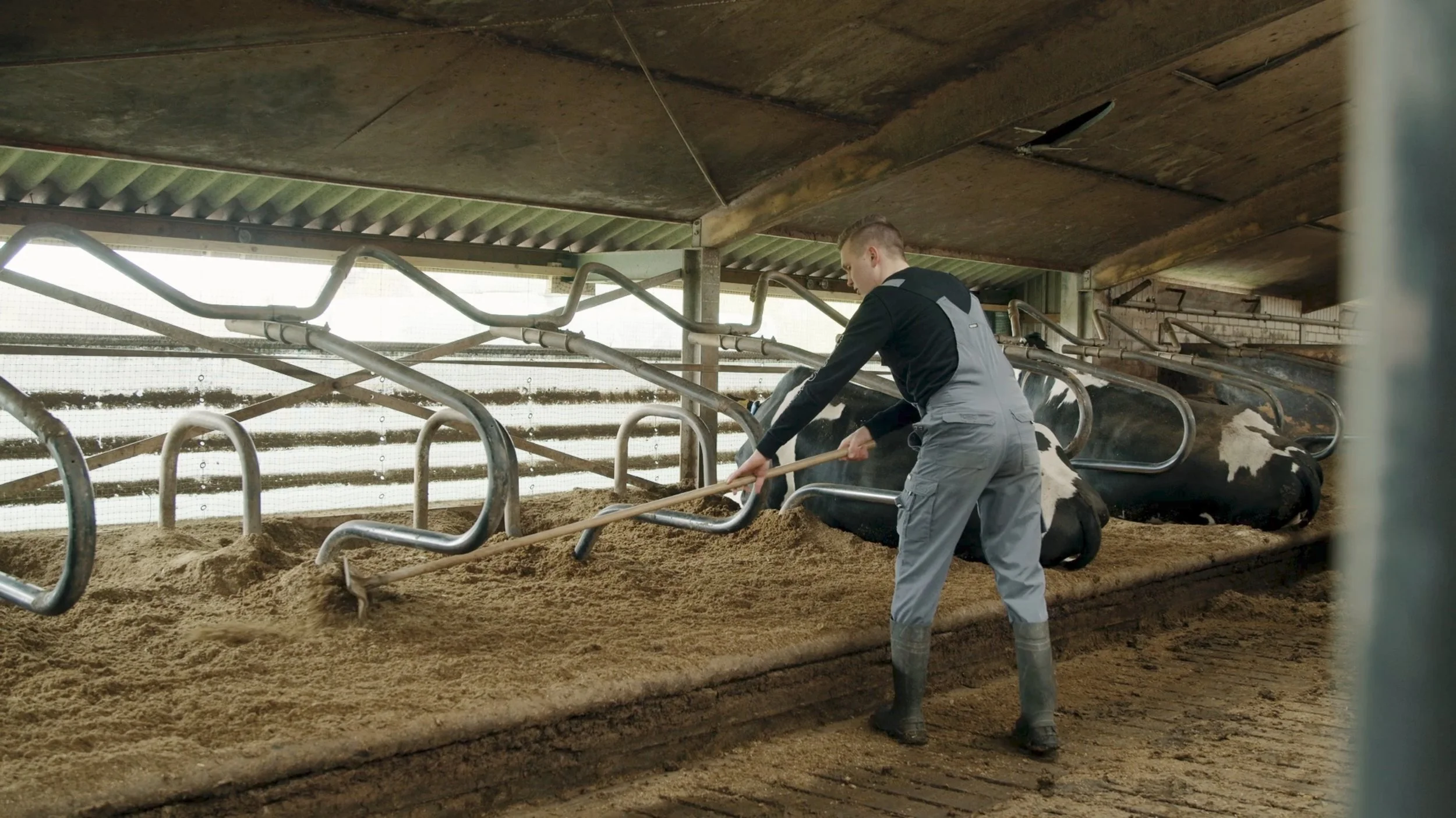 Final Form_FrieslandCampina 3.jpeg