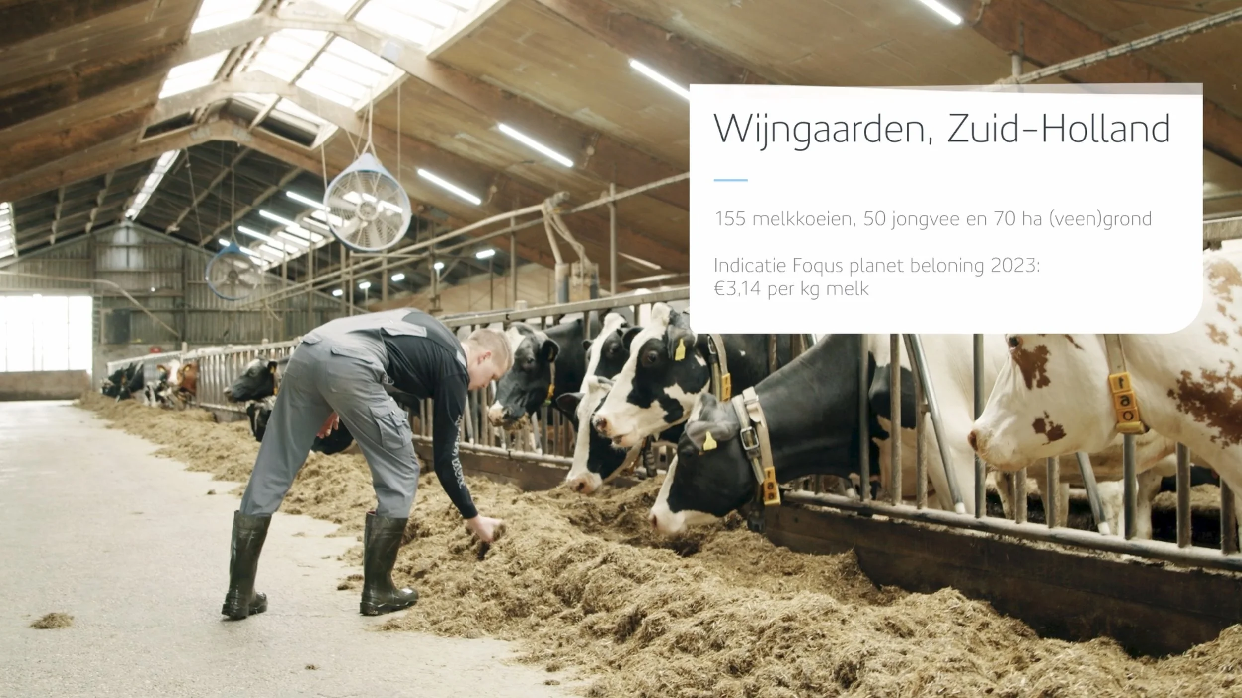 Final Form_FrieslandCampina 4.jpeg