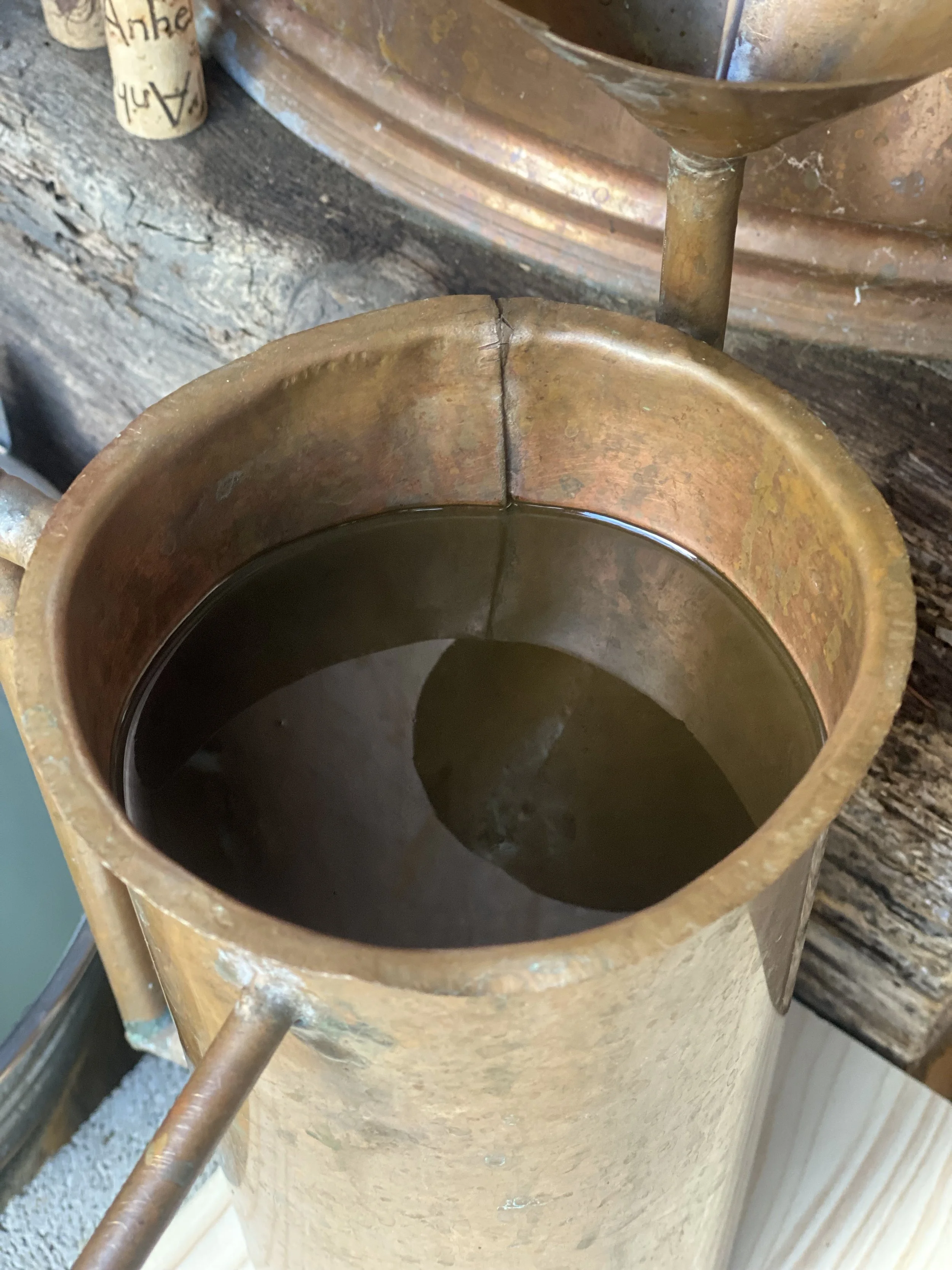 Découvrir une nouvelle huile essentielle : L'inule visqueuse. — L ...