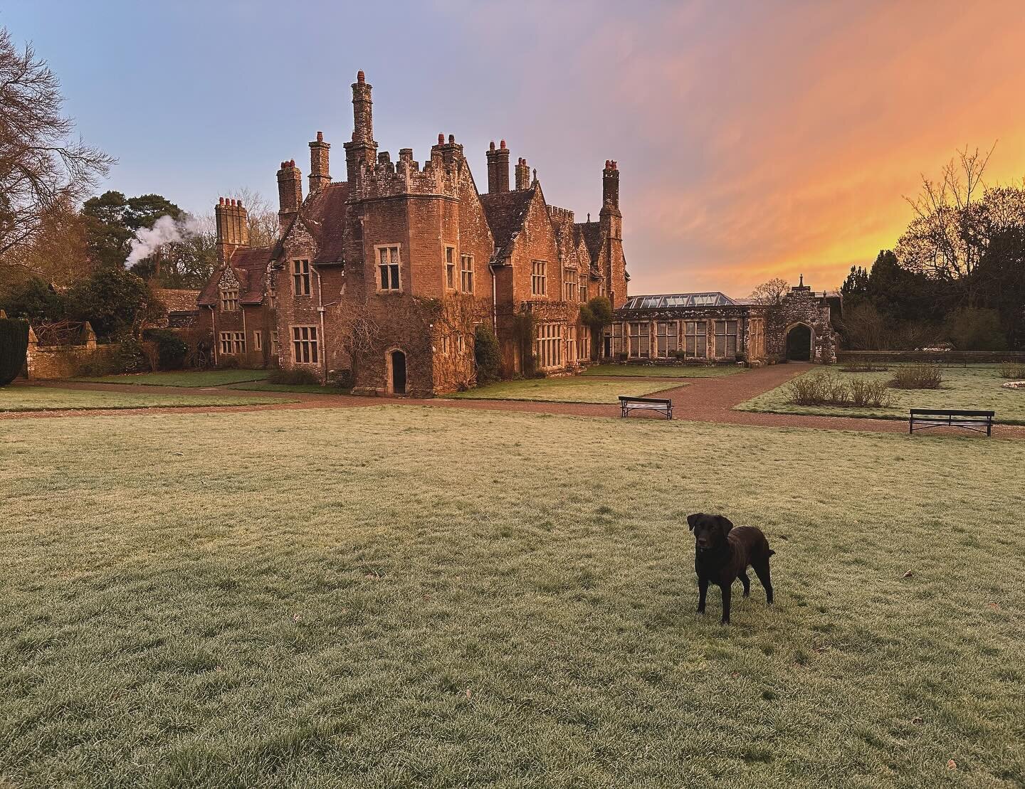 First frosty morning in a while. Maisie listening to the sound of the quad bike checking the sheep 

#treberfyddhouse