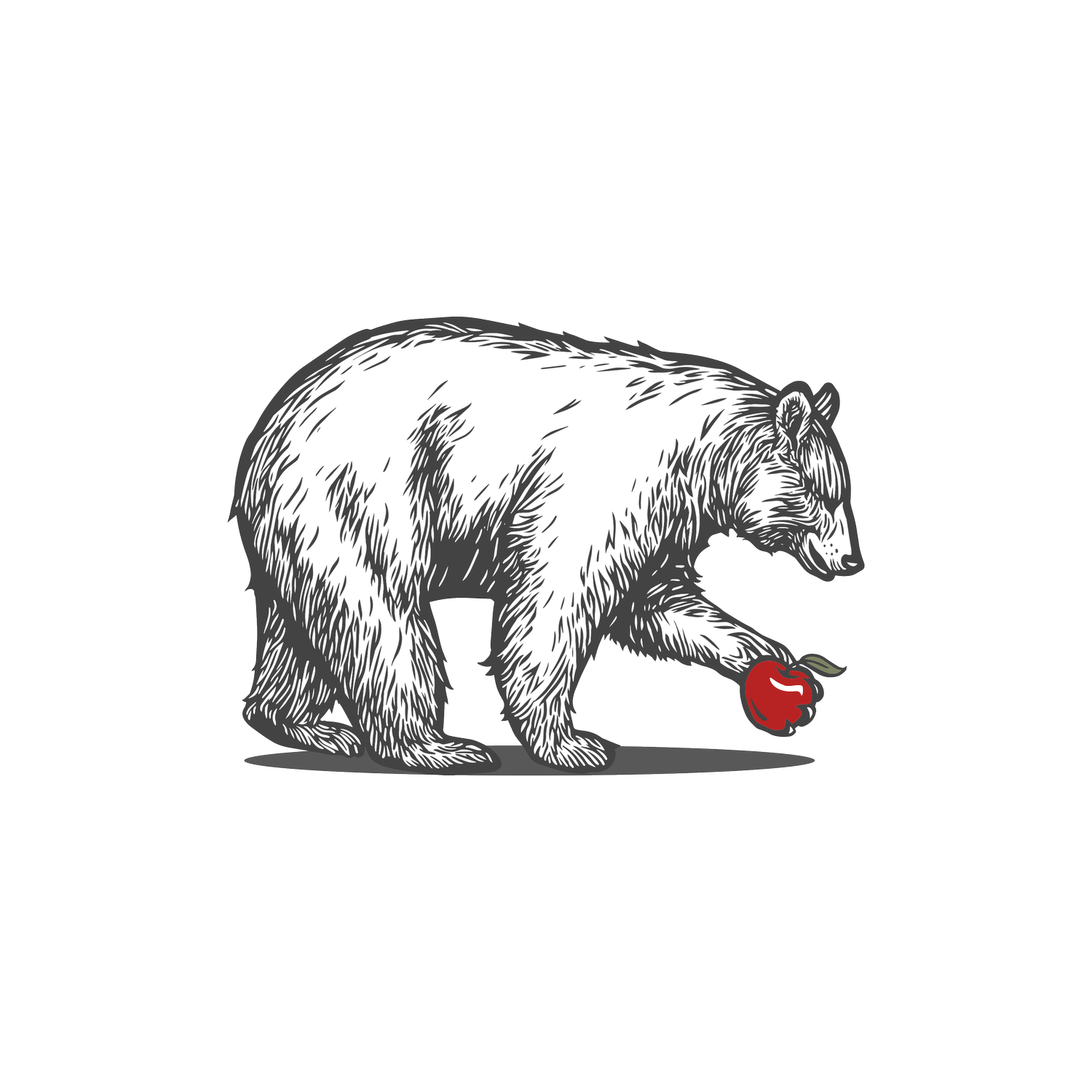 Welcome To North Georgia