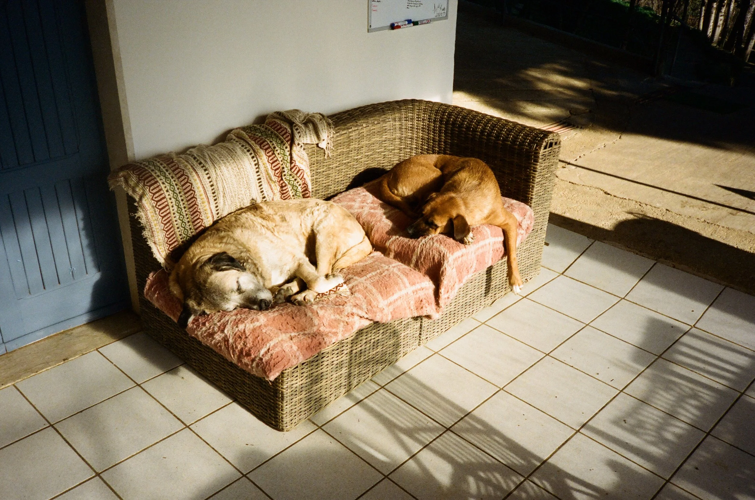 0026_27000291810026 (1).jpg