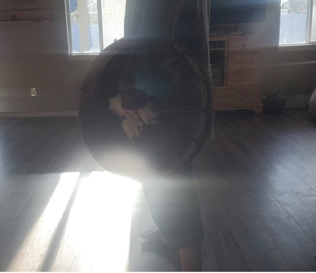 Day 4…