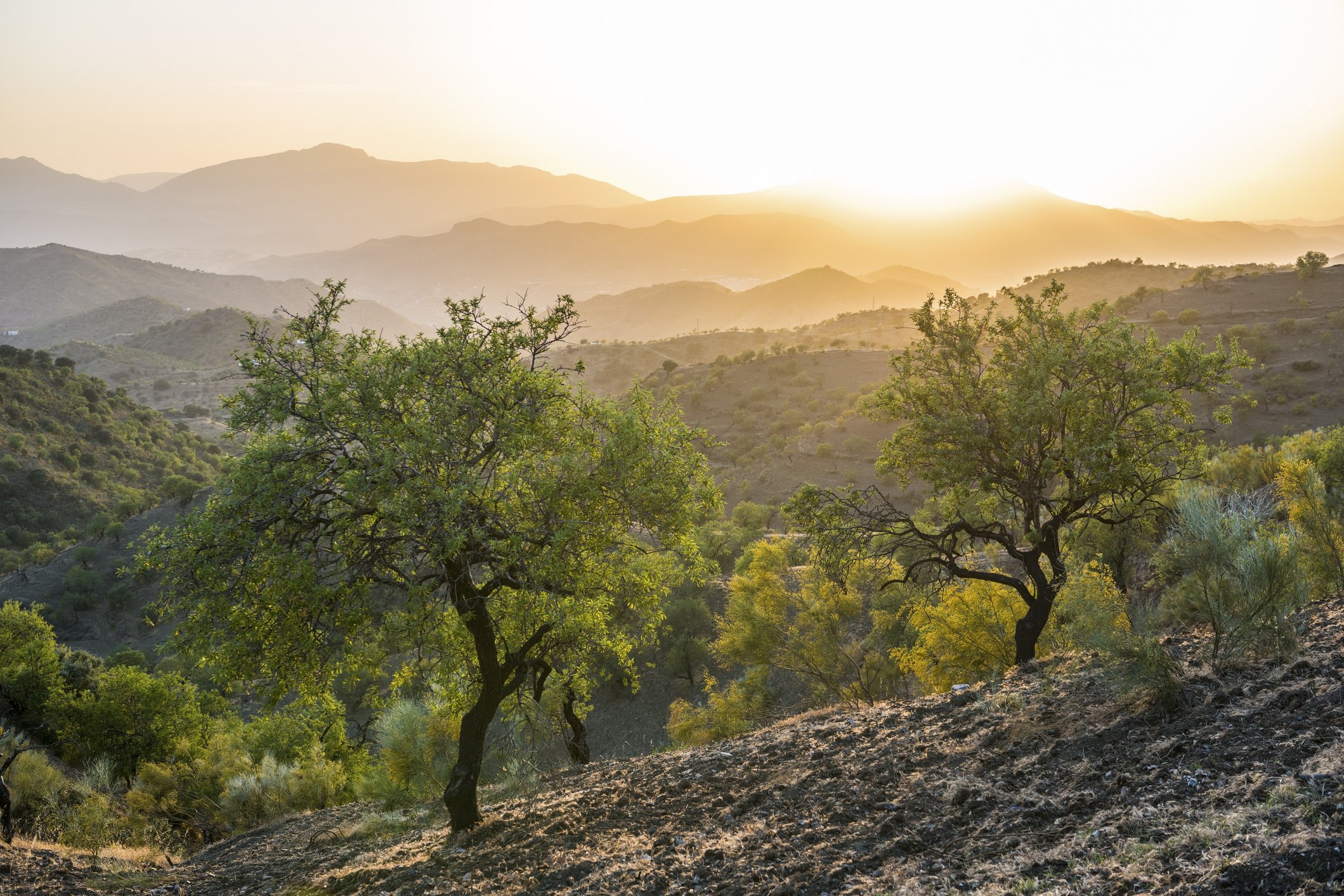 Andalusia, Spain